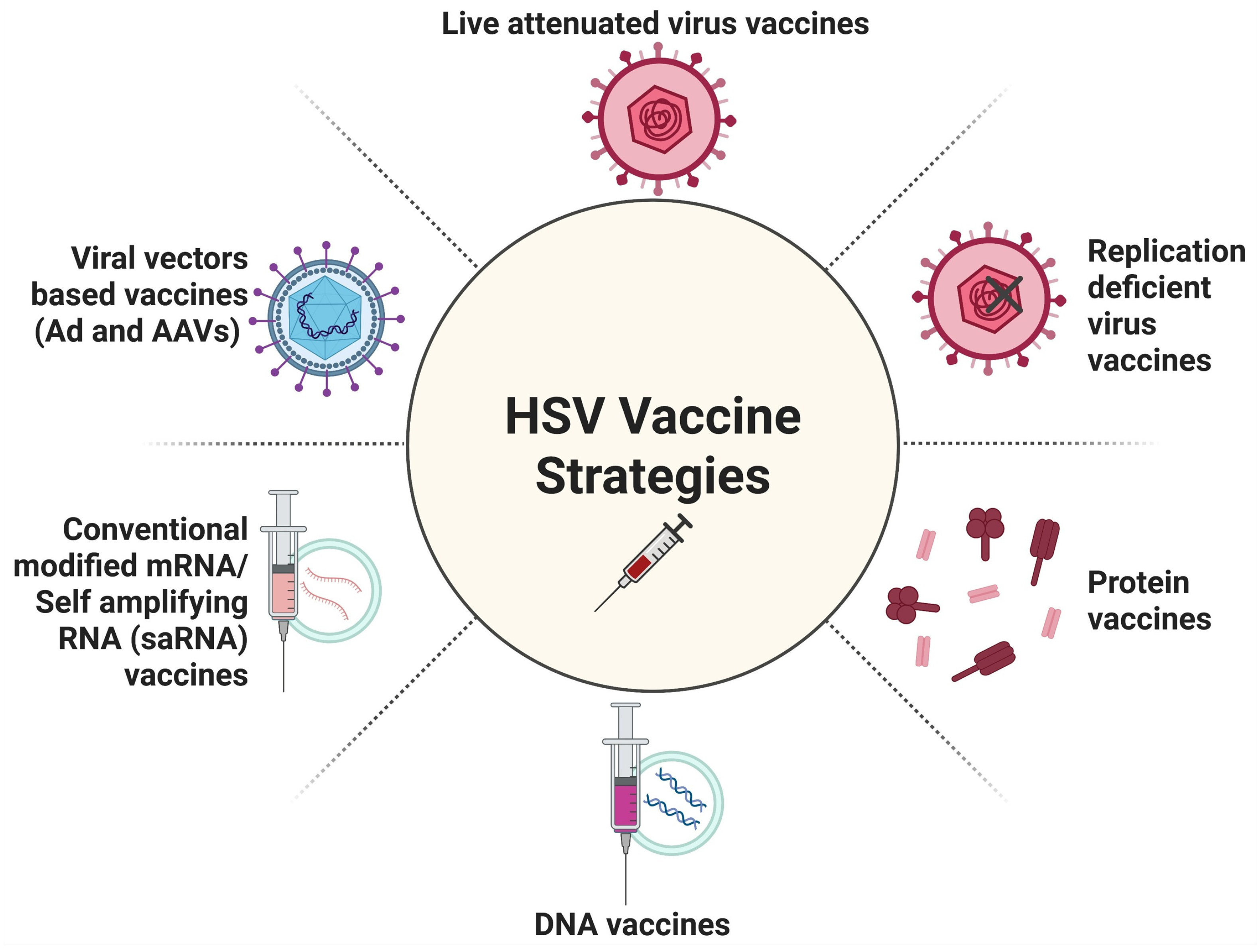 Vaccines 13 00908 g005 Vaccines 13 00908 g005