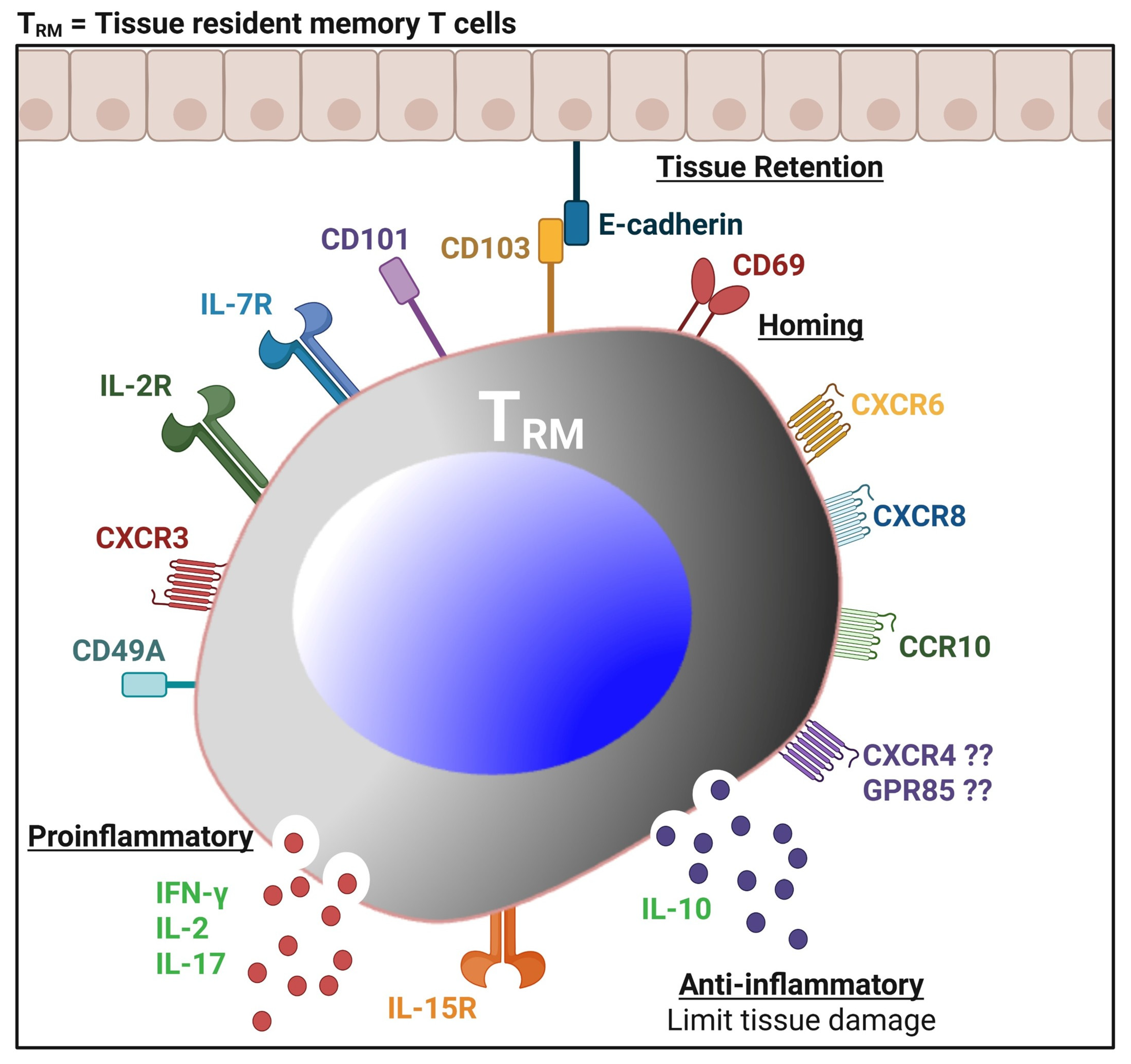 Vaccines 13 00908 g006 Vaccines 13 00908 g006