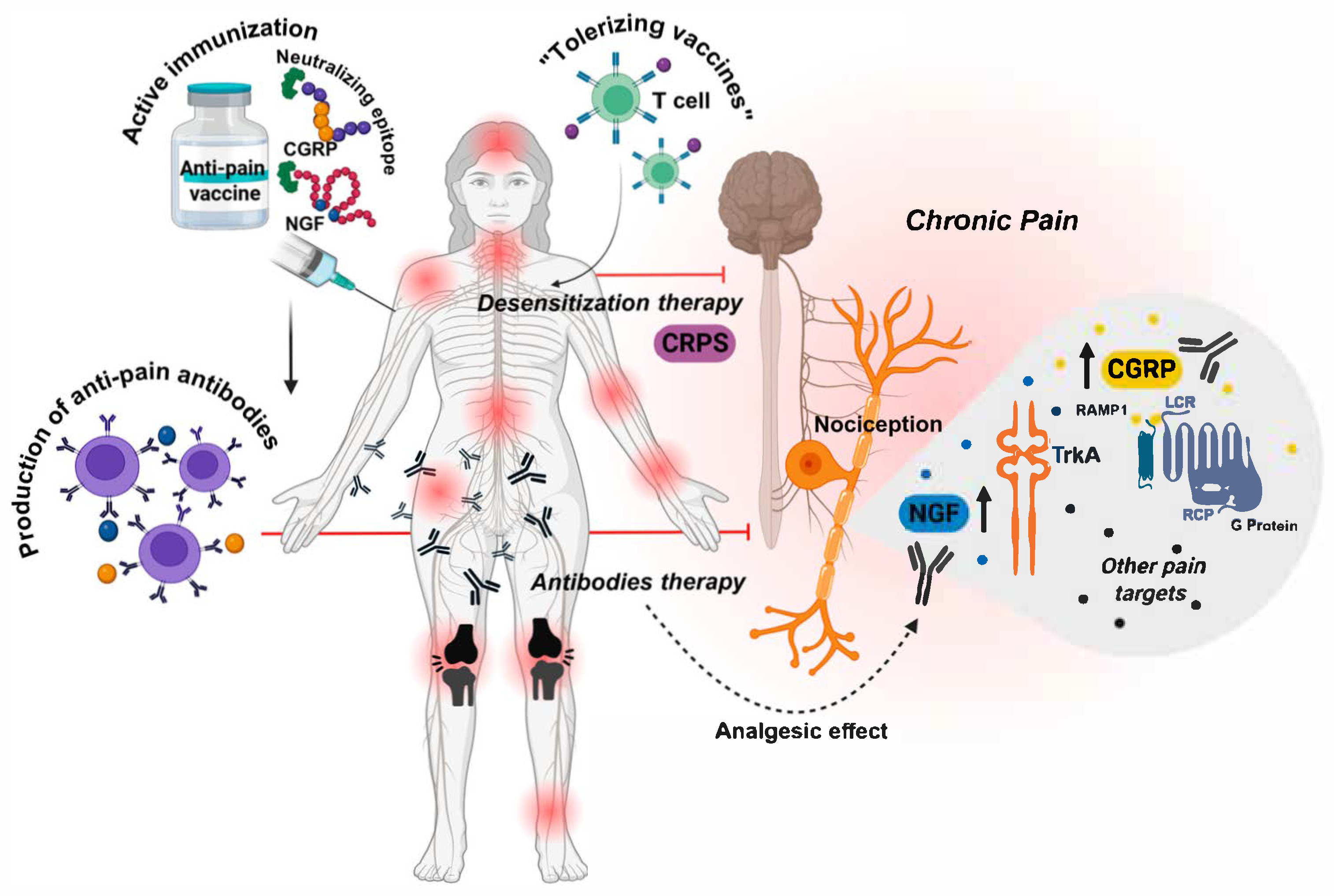 Vaccines 13 00909 g002 Vaccines 13 00909 g002
