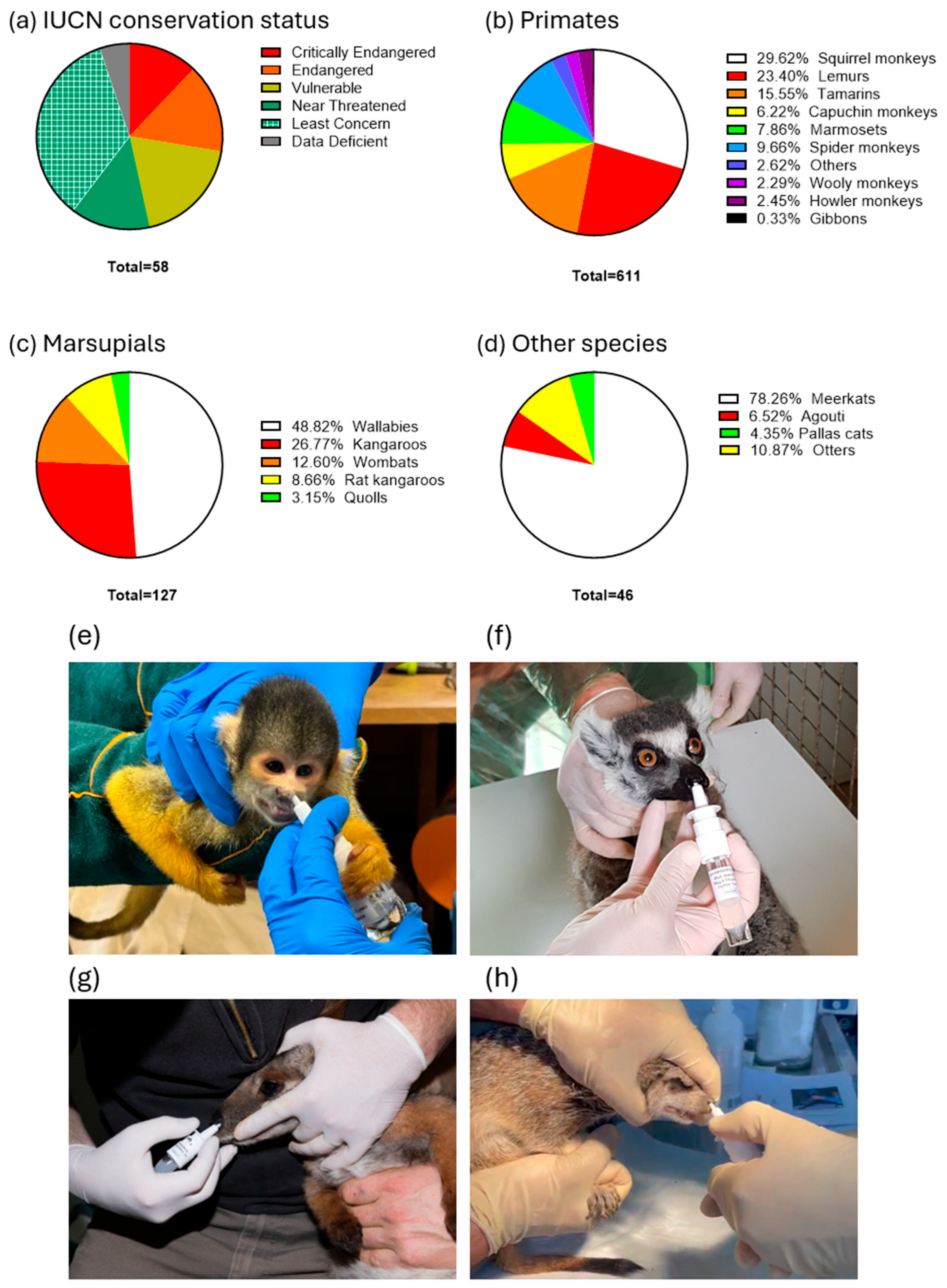 Vaccines 13 00910 g002 Vaccines 13 00910 g002