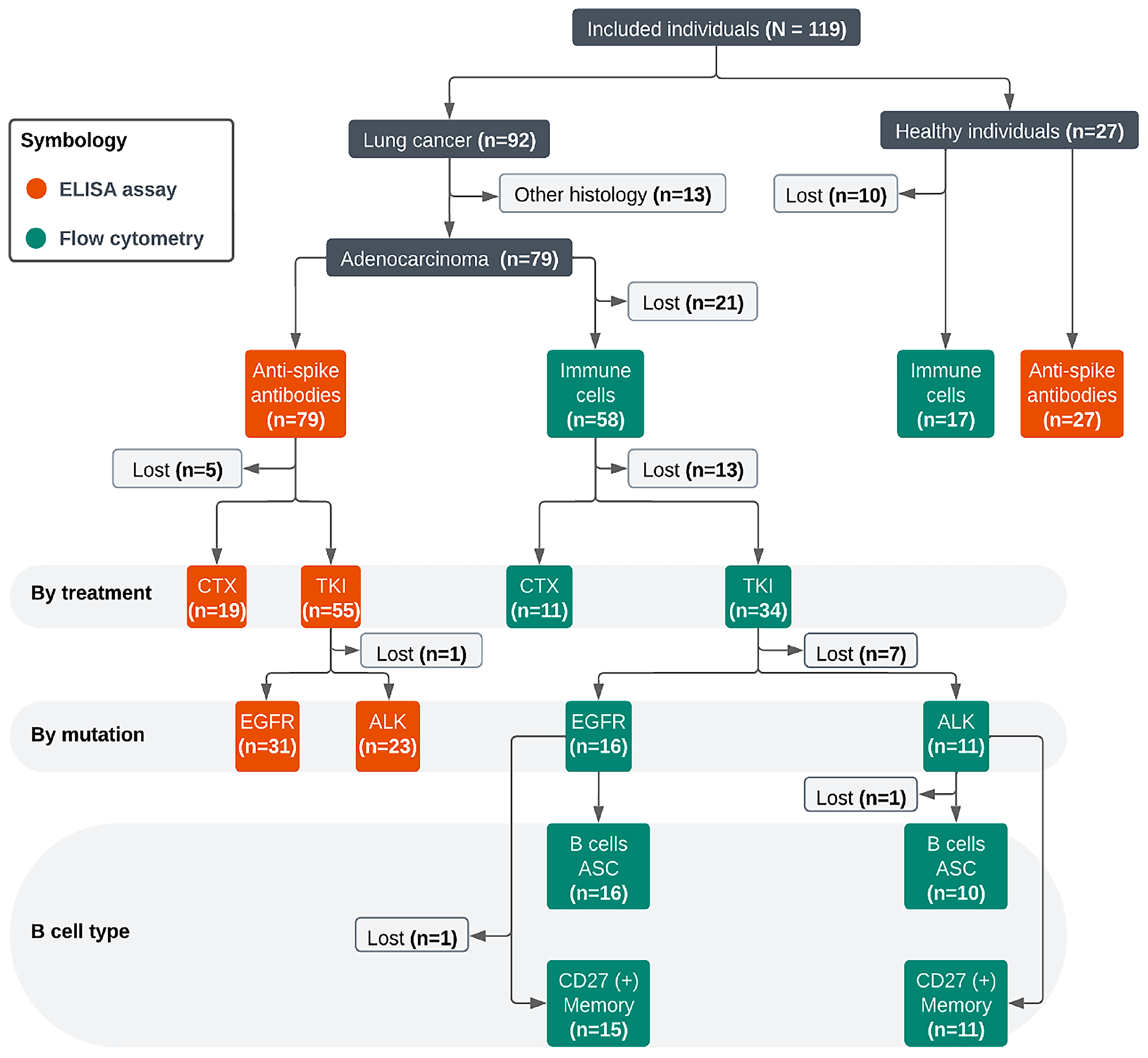 Vaccines 13 00913 g0s1