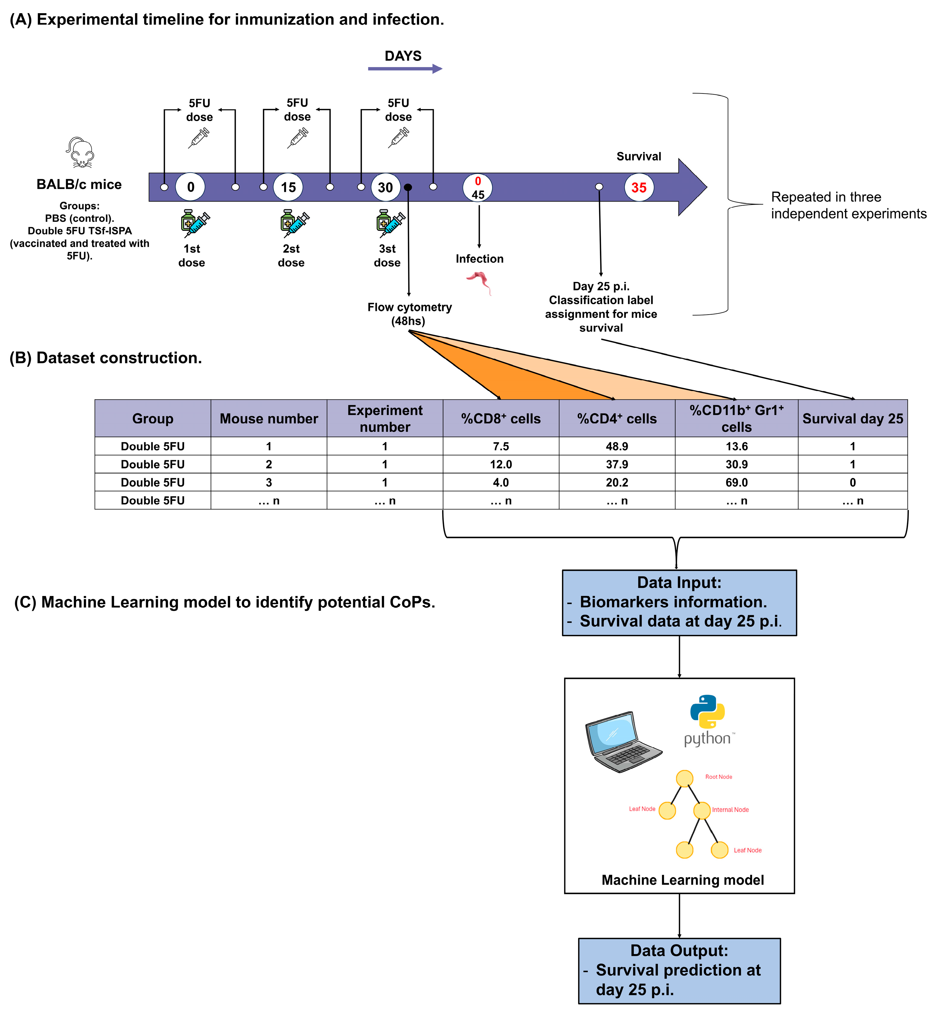 Vaccines 13 00915 g001 Vaccines 13 00915 g001