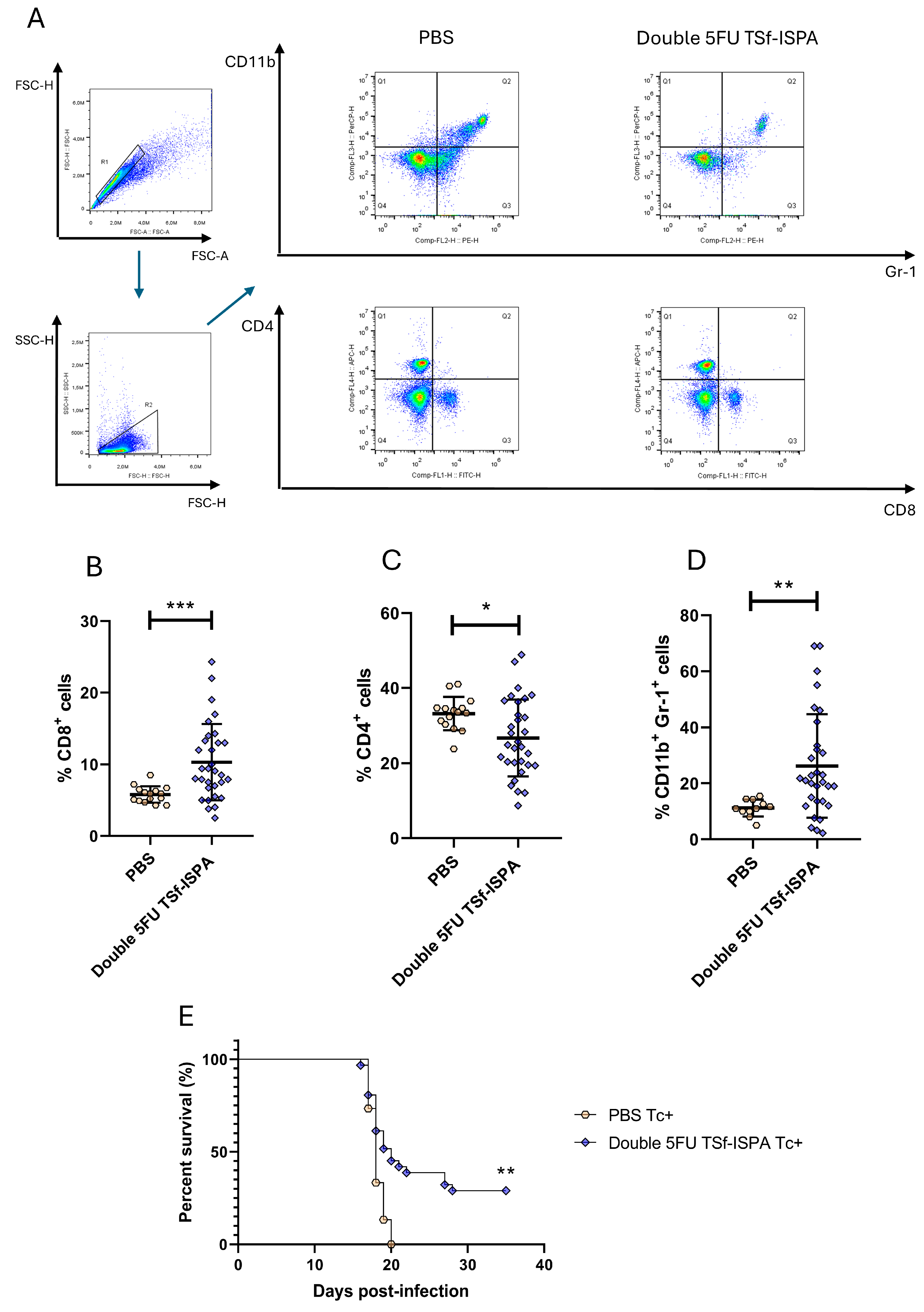 Vaccines 13 00915 g002 Vaccines 13 00915 g002