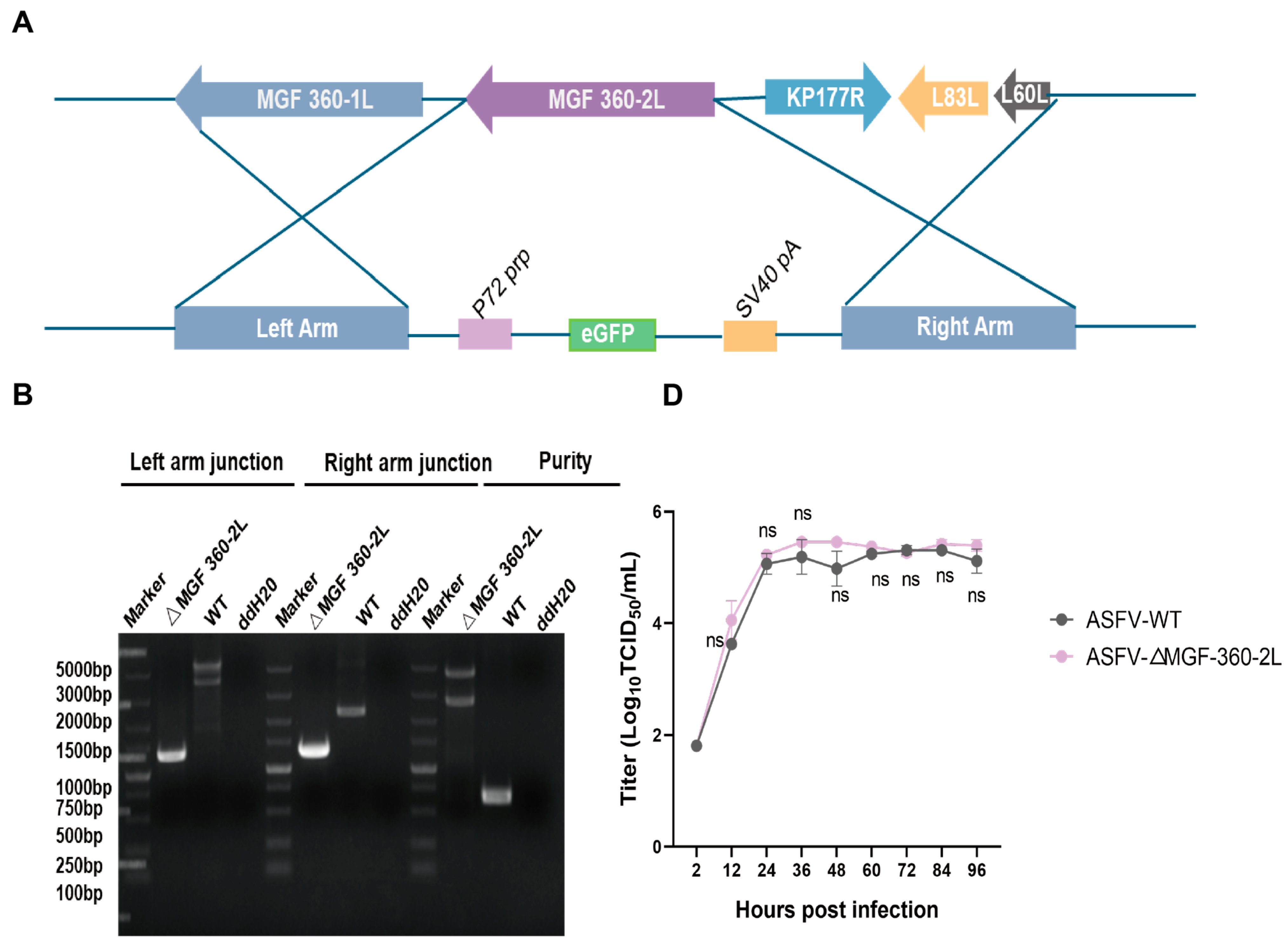 Vaccines 13 00918 g001a