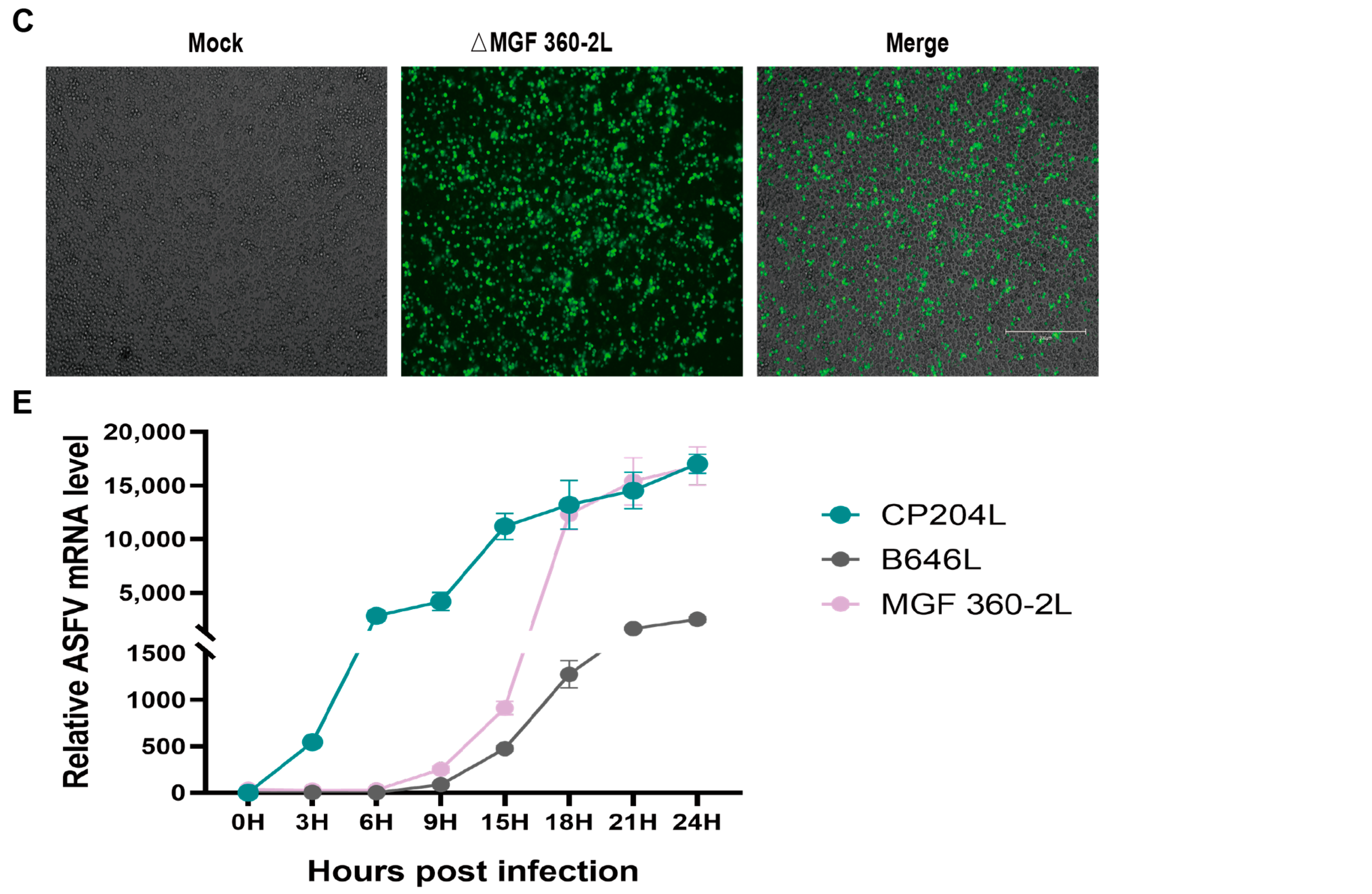 Vaccines 13 00918 g001b