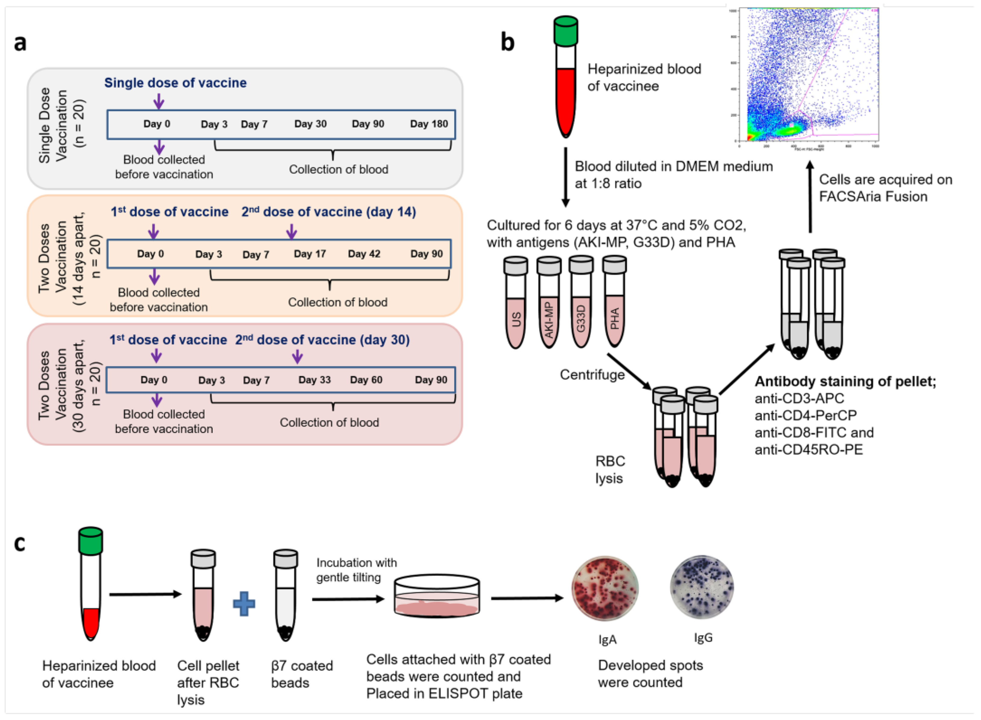 Vaccines 13 00919 g001 Vaccines 13 00919 g001