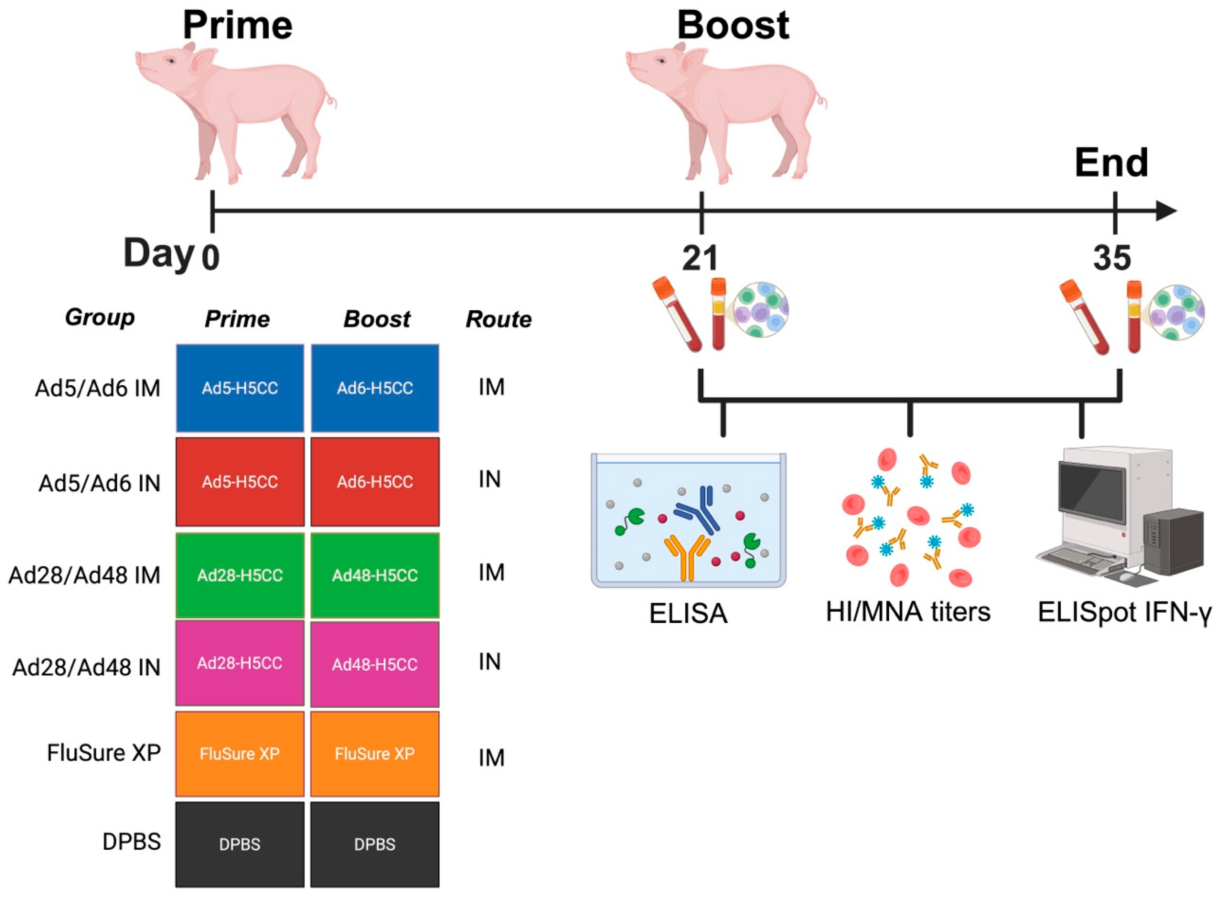 Vaccines 13 00928 g003