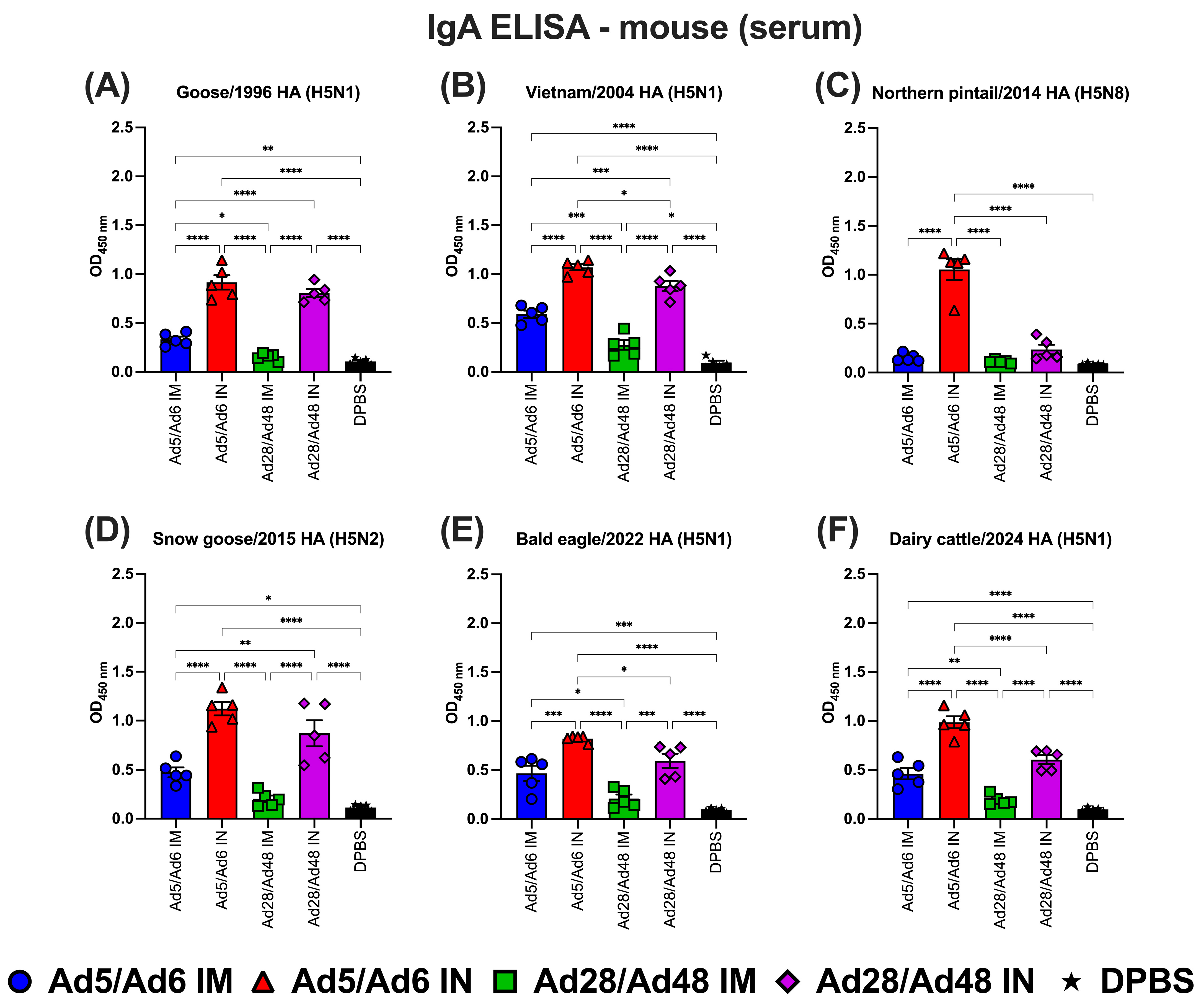 Vaccines 13 00928 g007