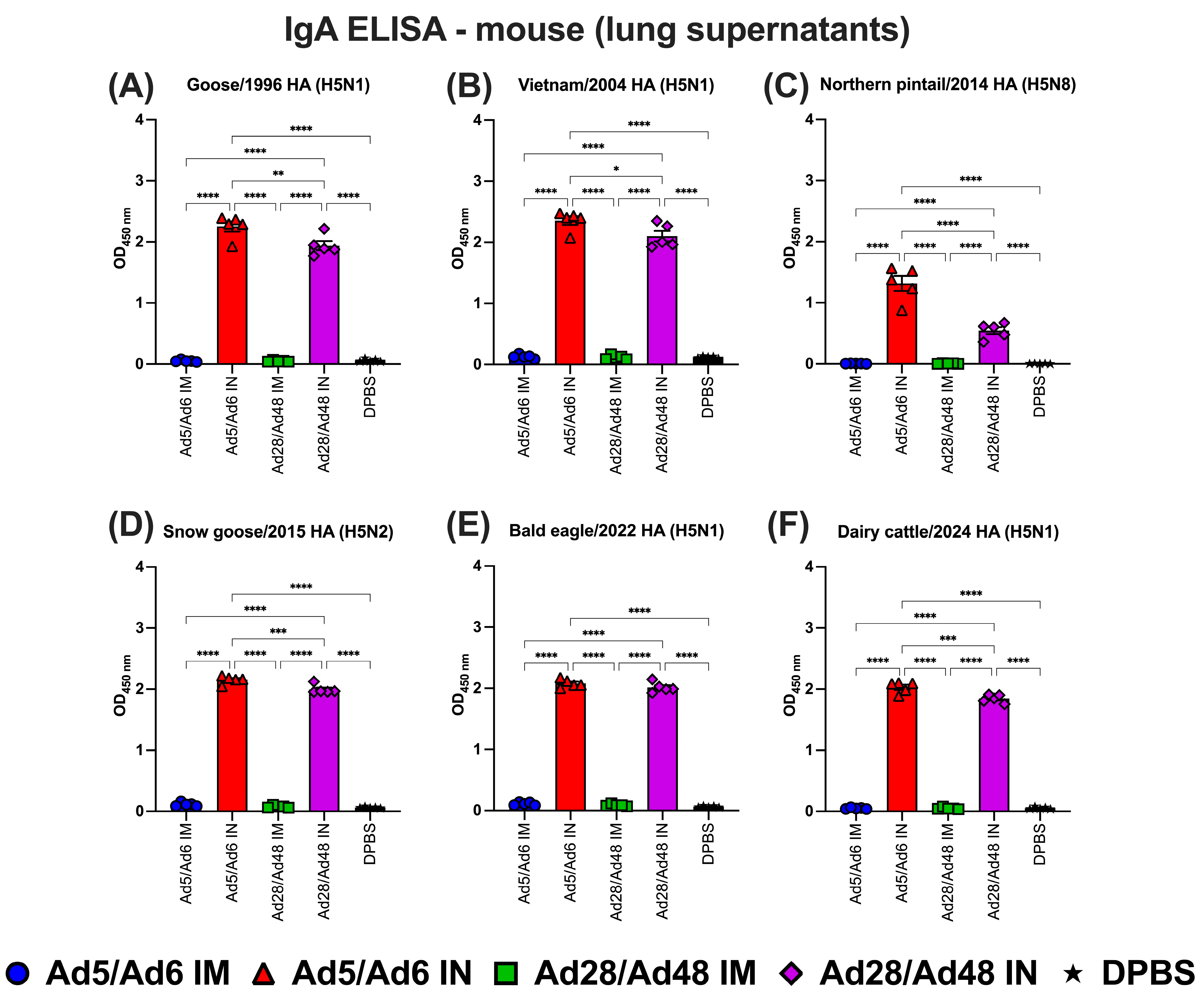 Vaccines 13 00928 g008