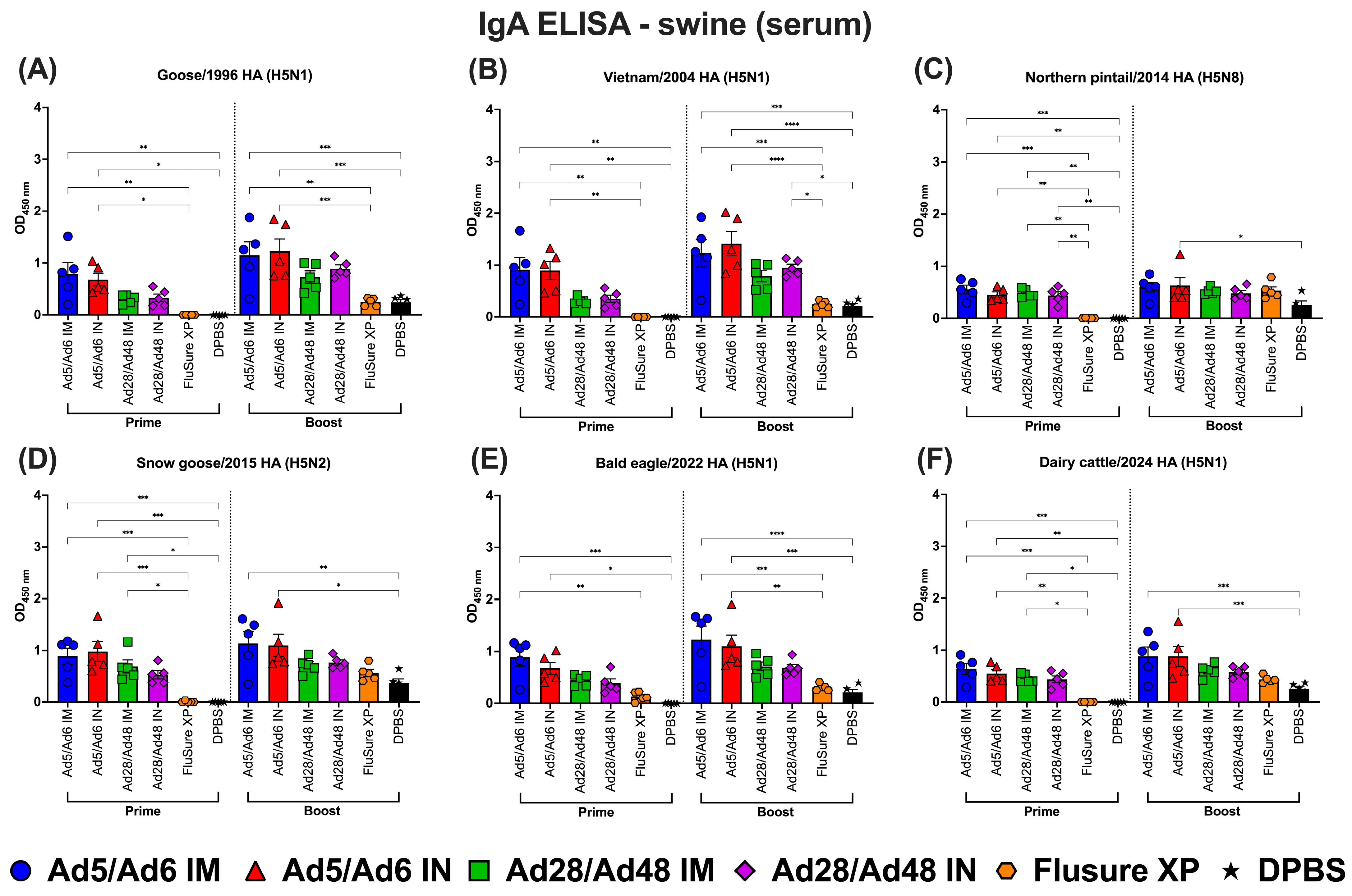 Vaccines 13 00928 g013