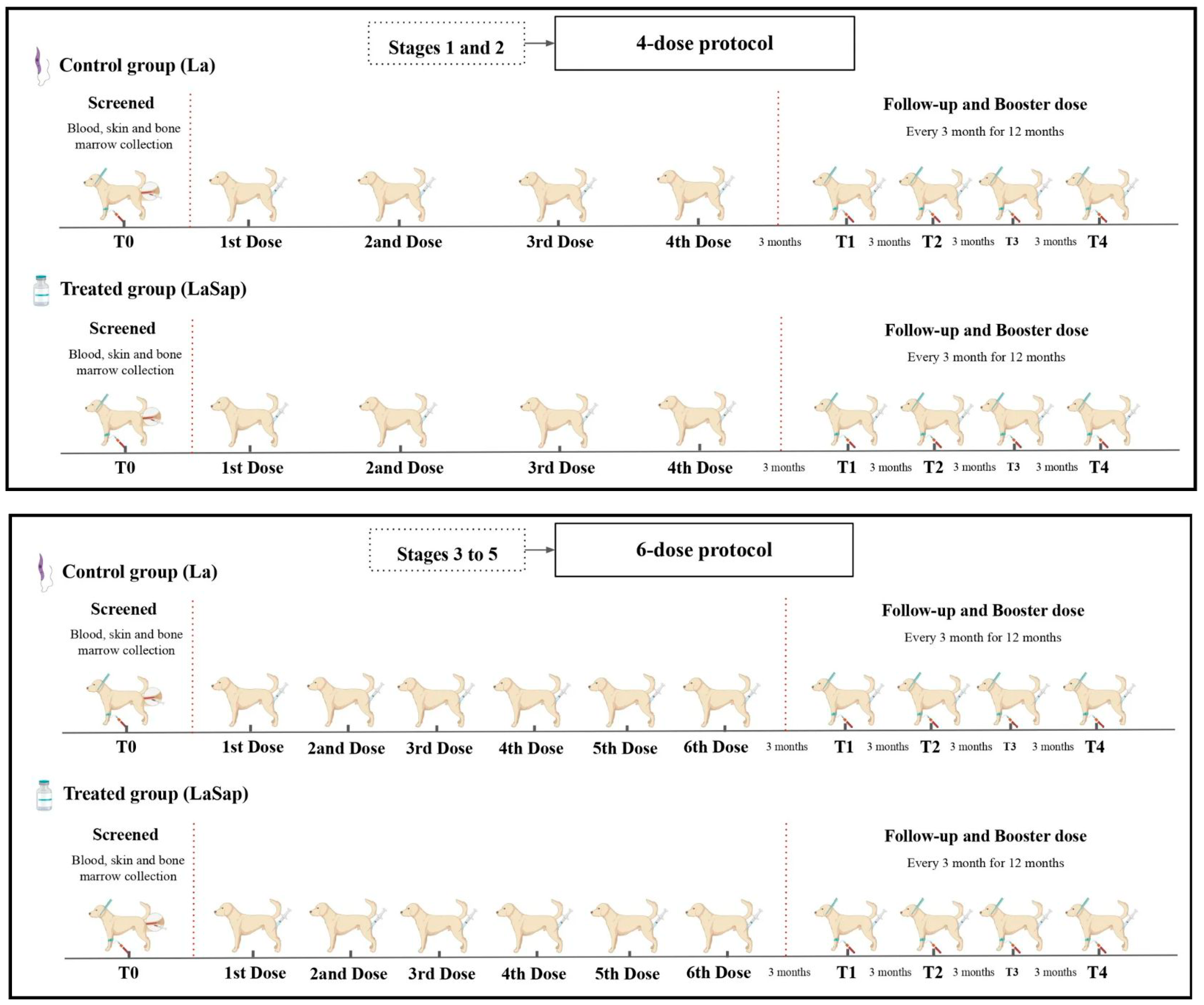 Vaccines 13 00933 g001 Vaccines 13 00933 g001
