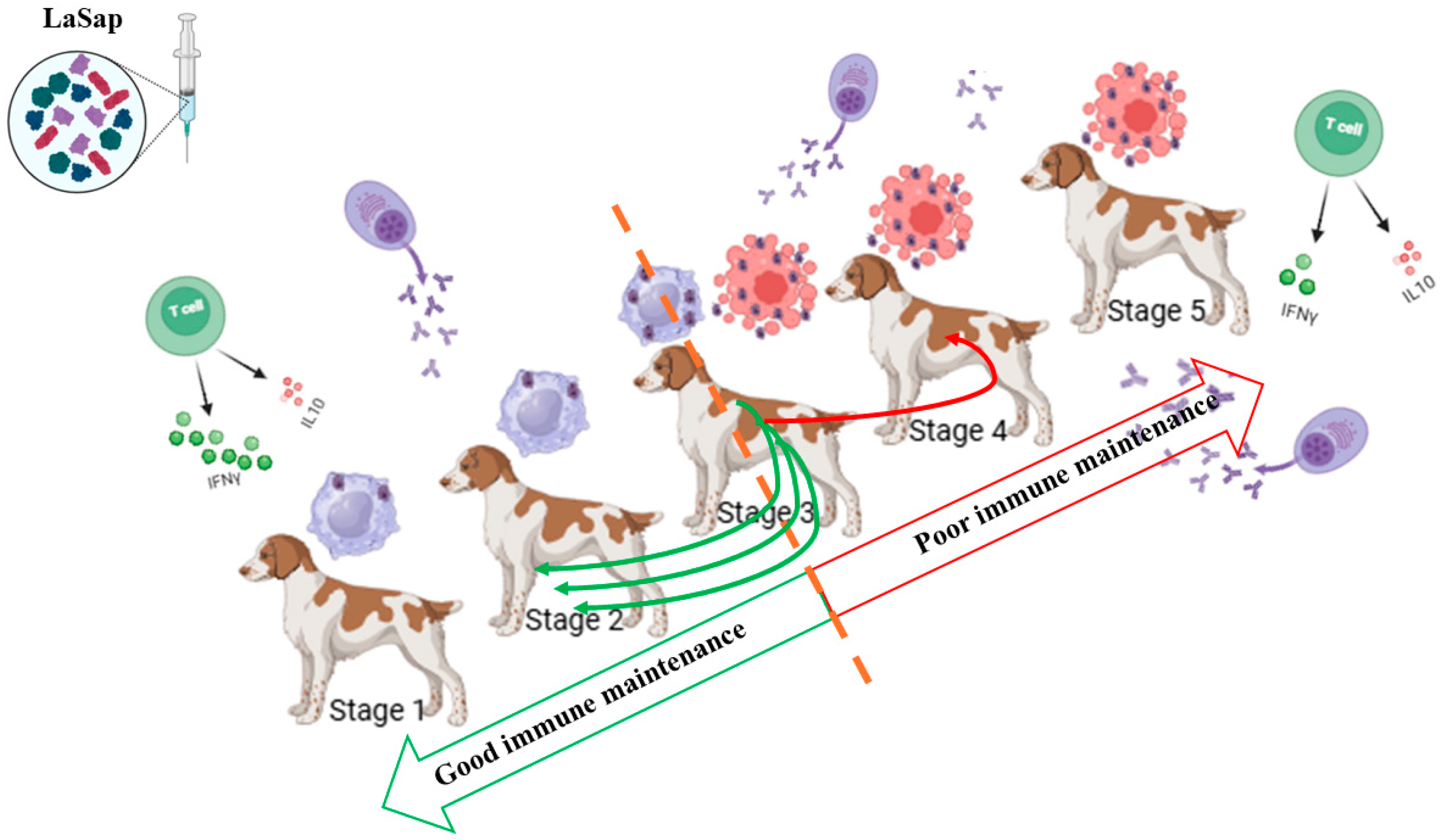 Vaccines 13 00933 g007 Vaccines 13 00933 g007