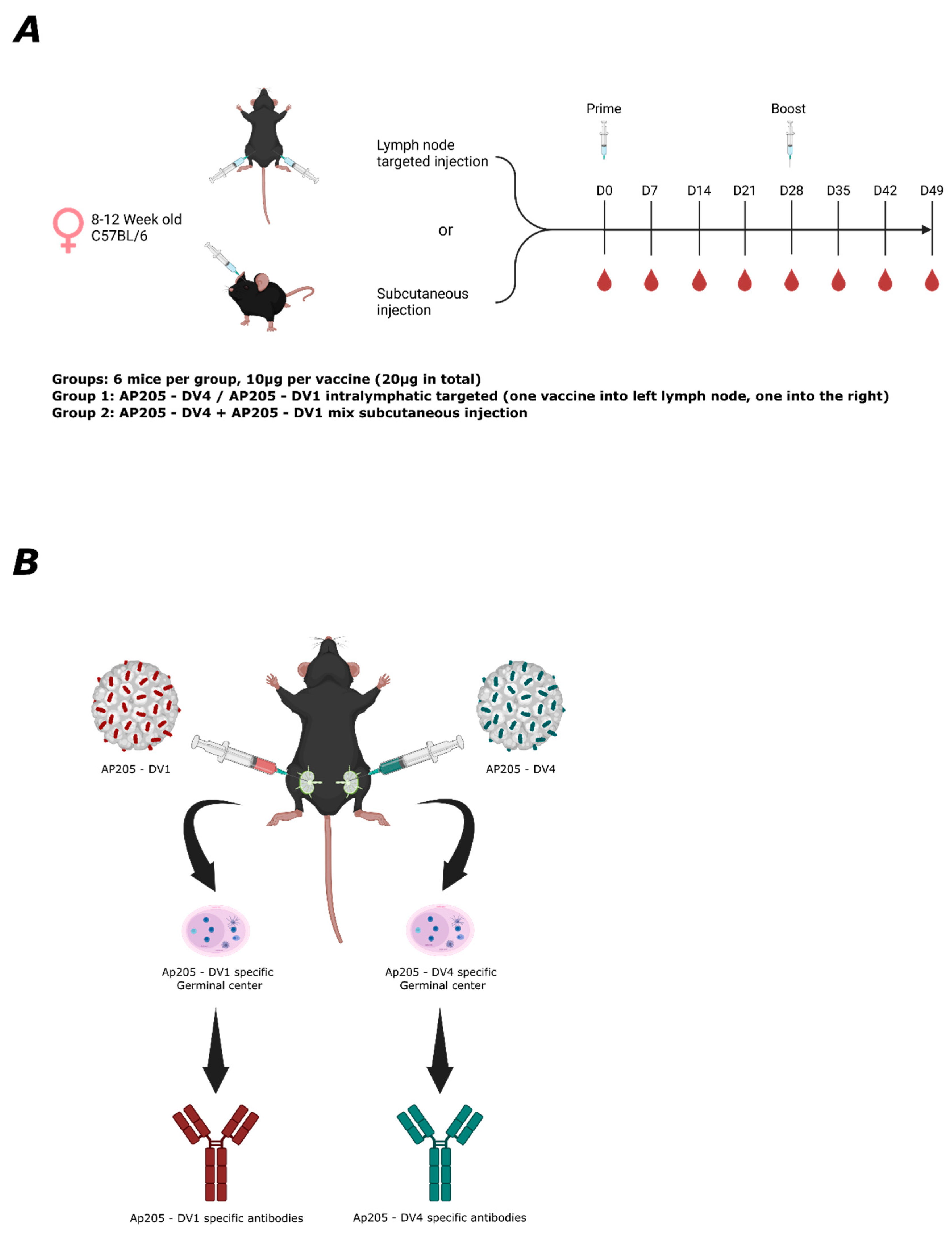 Vaccines 13 00941 g002