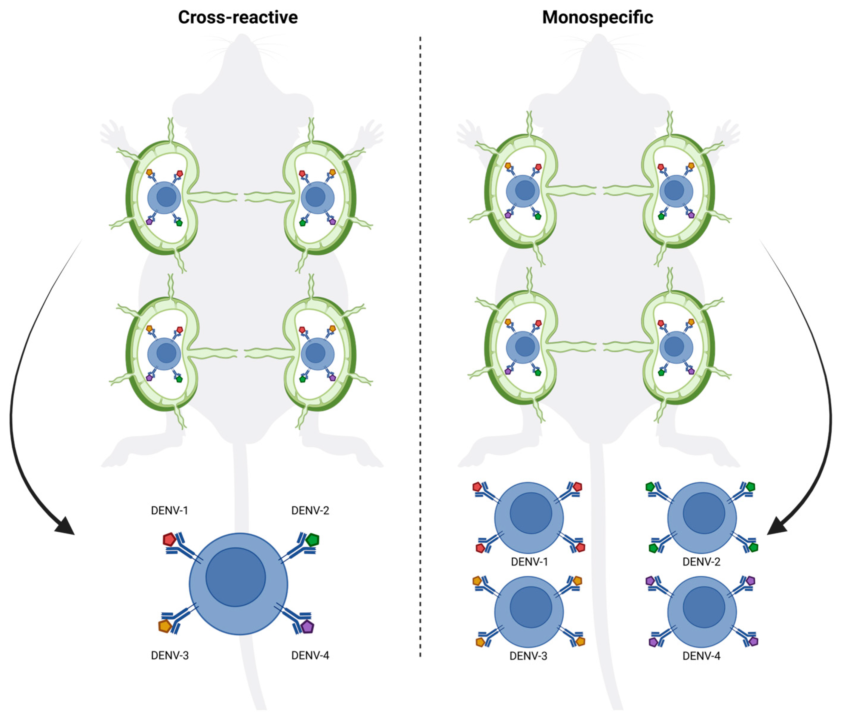 Vaccines 13 00941 g006