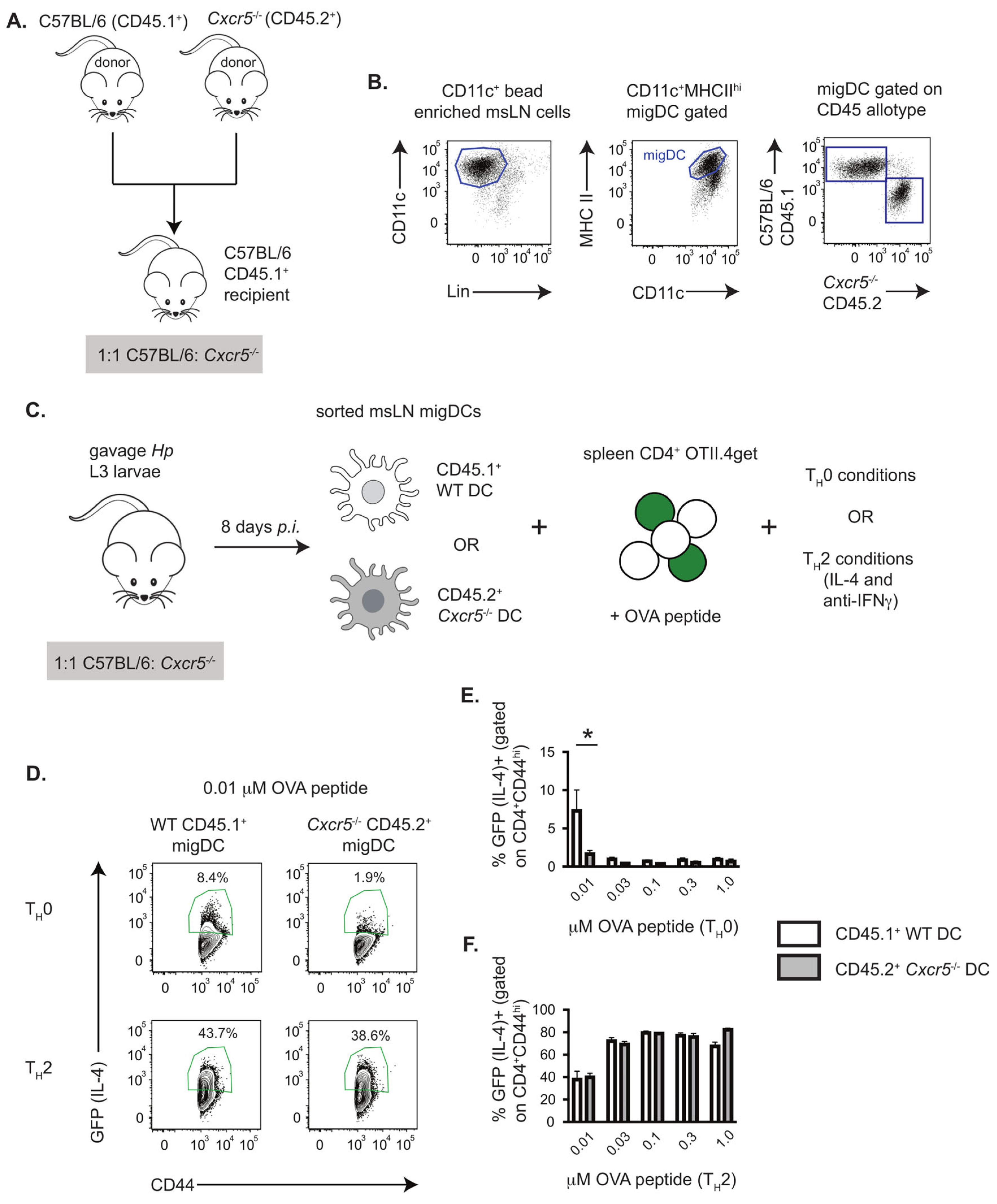 Vaccines 13 00943 g001 Vaccines 13 00943 g001