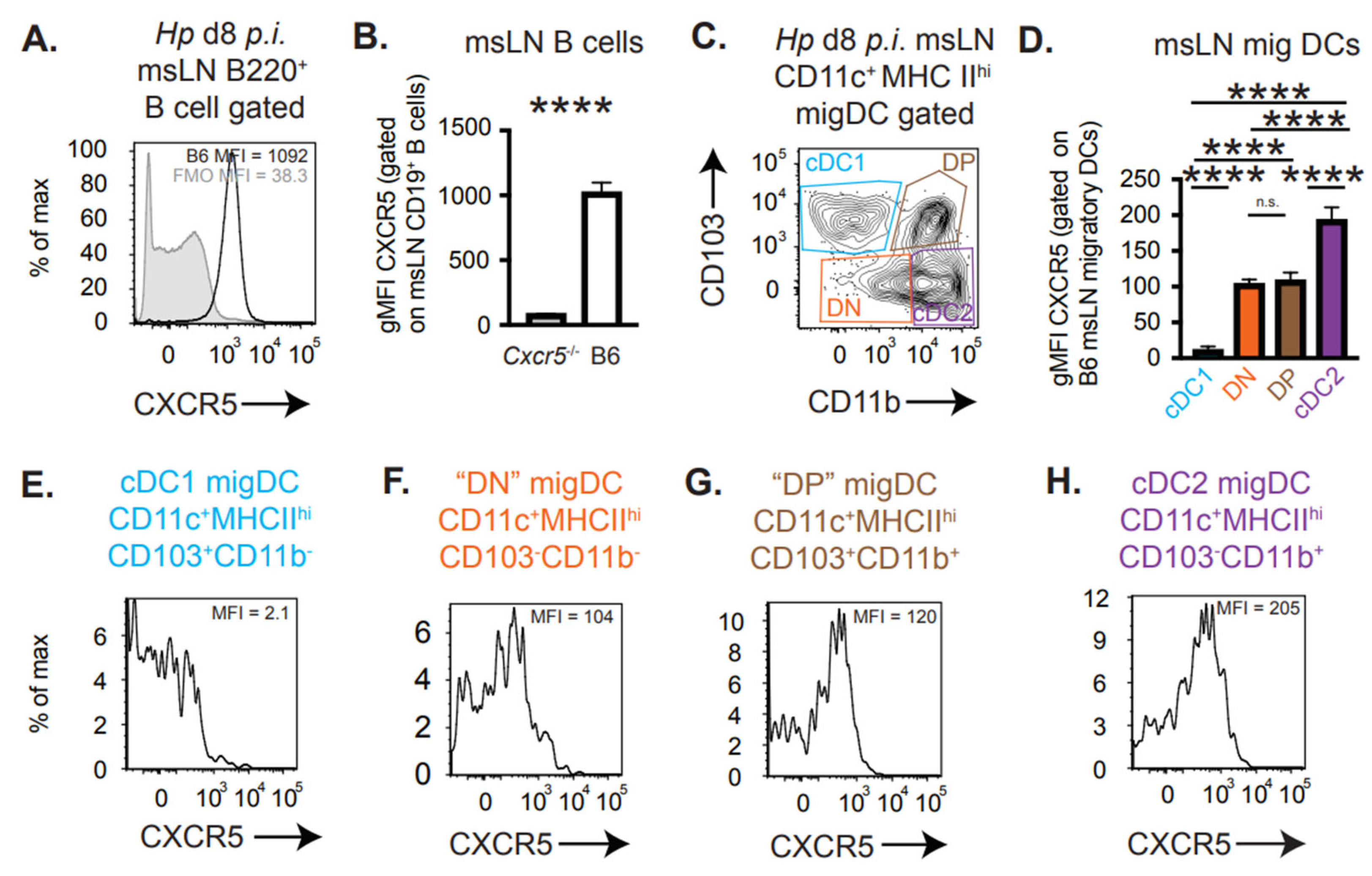 Vaccines 13 00943 g002 Vaccines 13 00943 g002