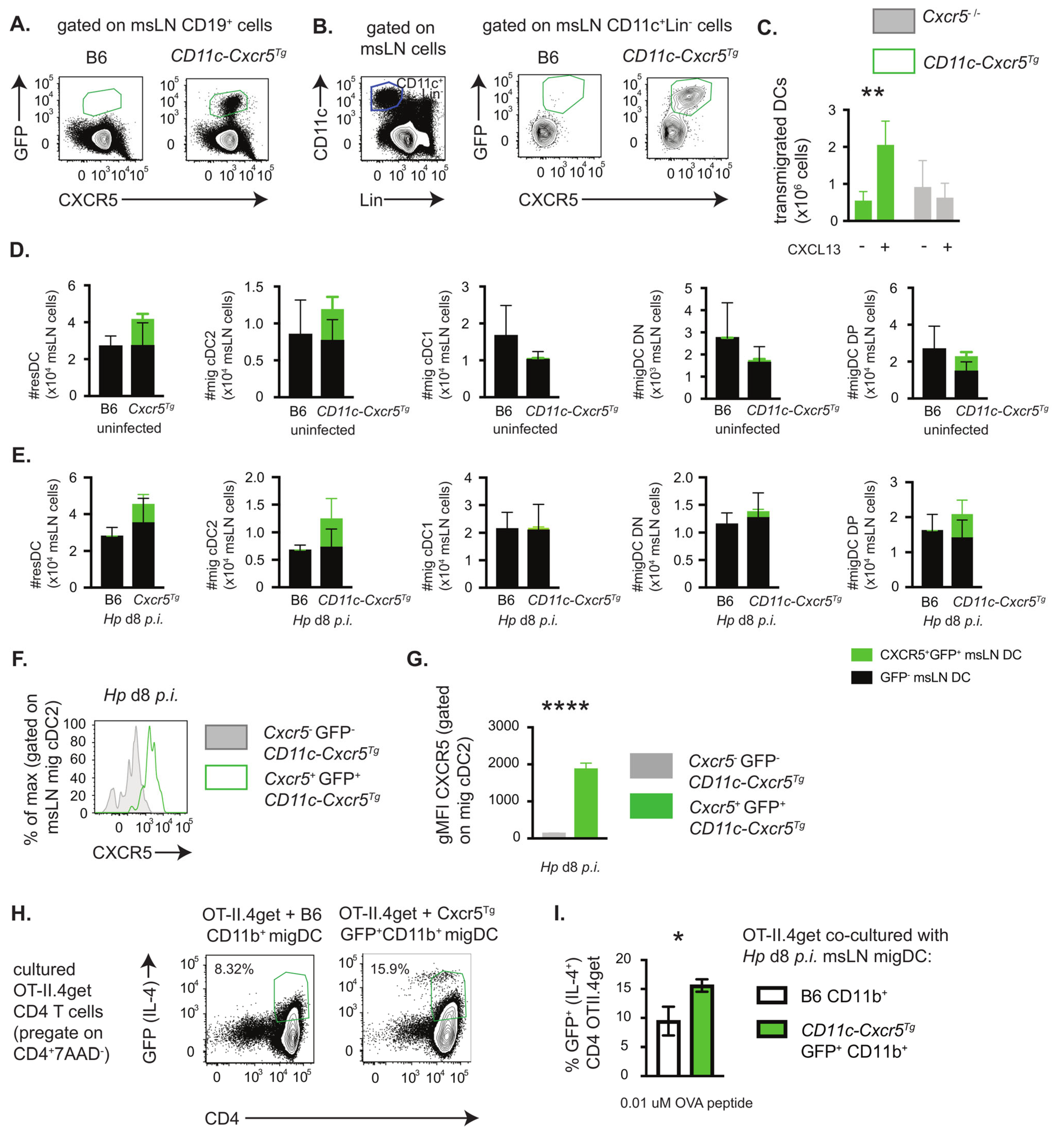 Vaccines 13 00943 g003 Vaccines 13 00943 g003