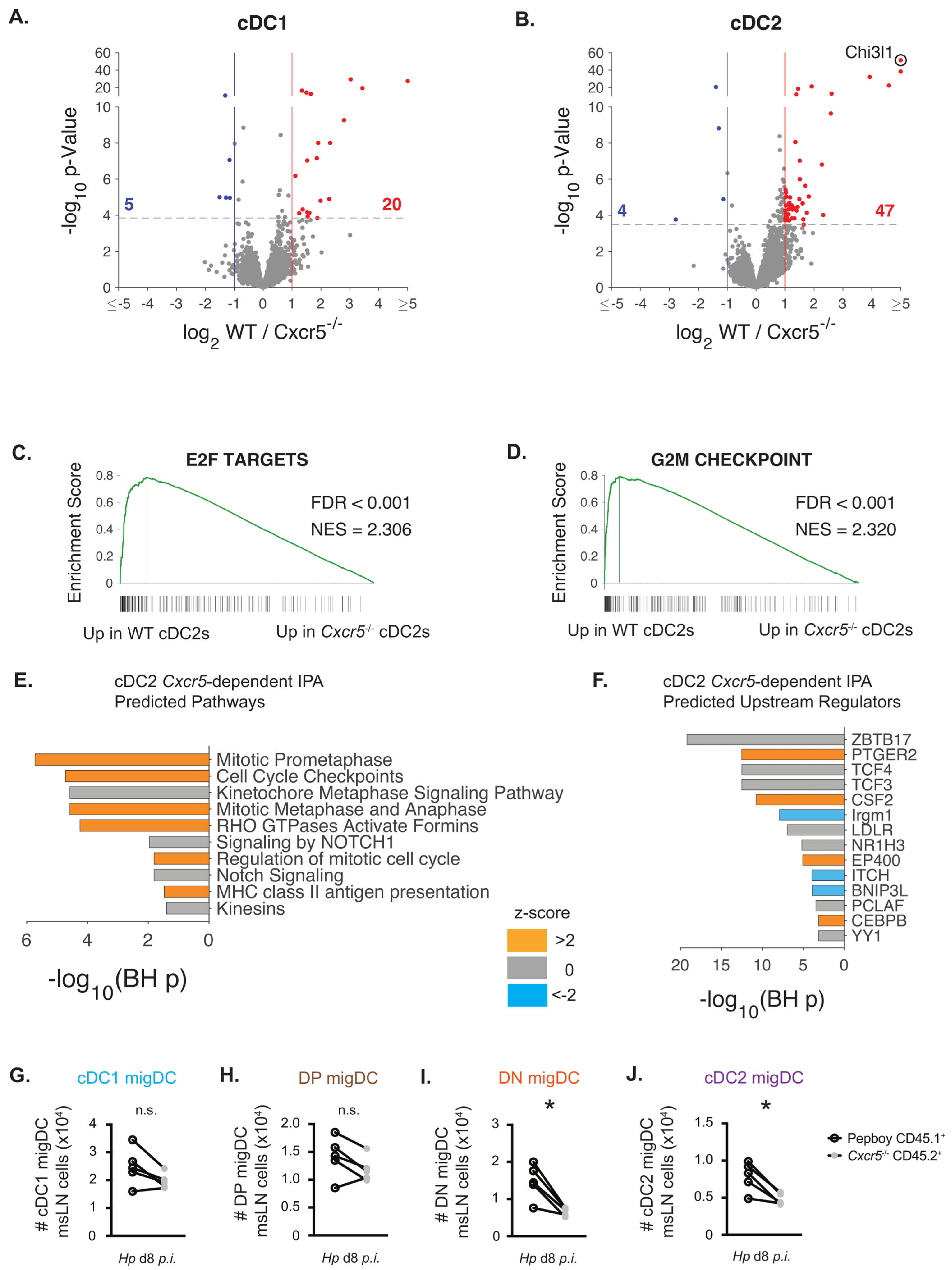 Vaccines 13 00943 g004 Vaccines 13 00943 g004