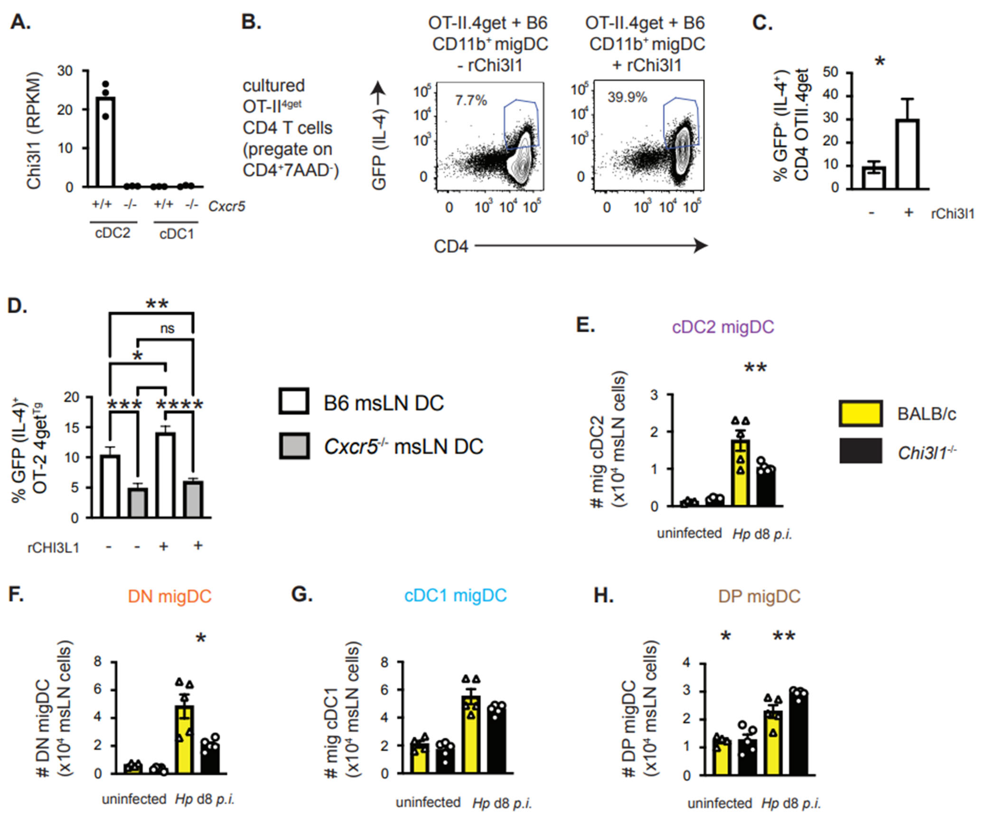 Vaccines 13 00943 g005 Vaccines 13 00943 g005