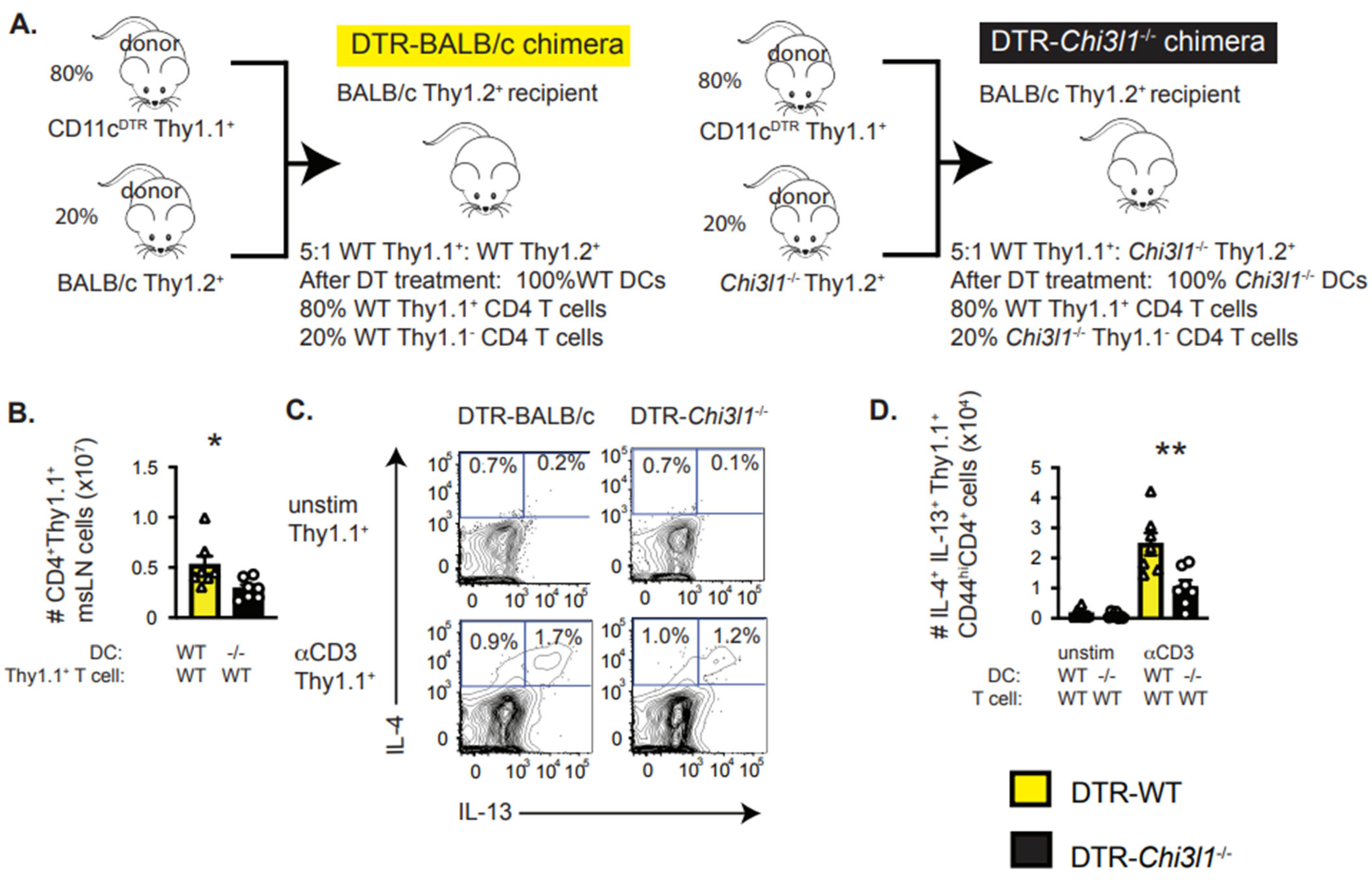 Vaccines 13 00943 g006 Vaccines 13 00943 g006