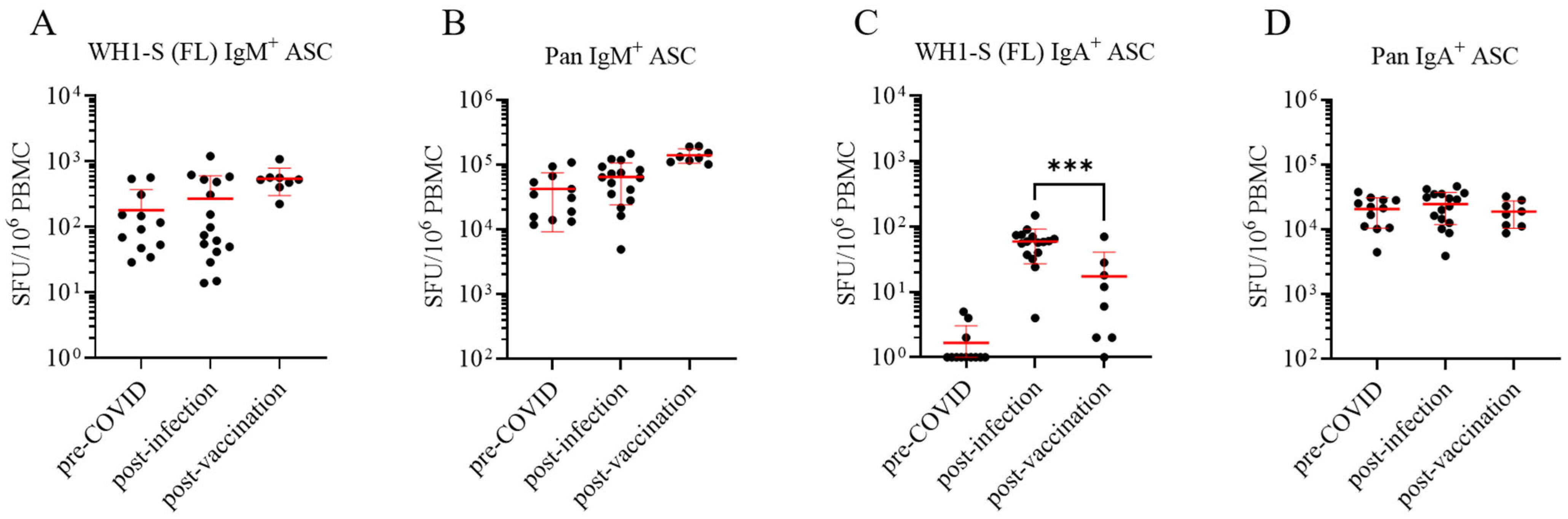 Vaccines 13 00944 g003