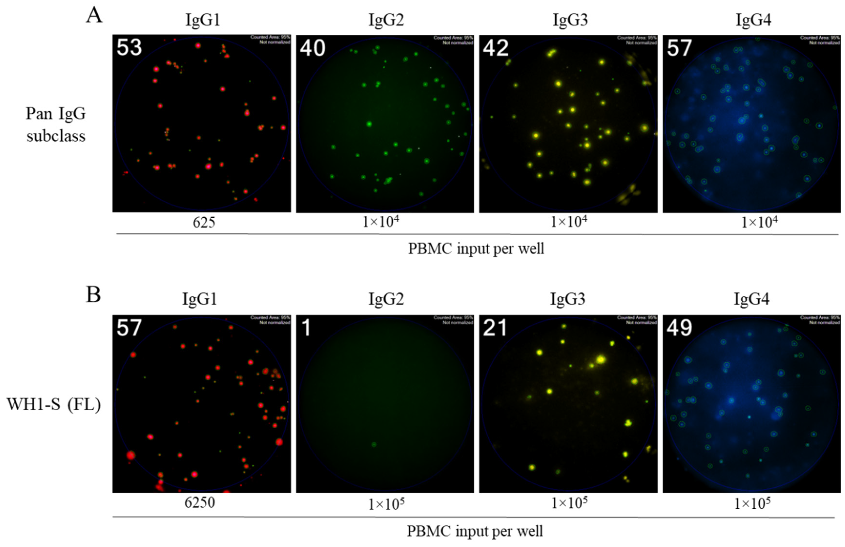 Vaccines 13 00944 g004
