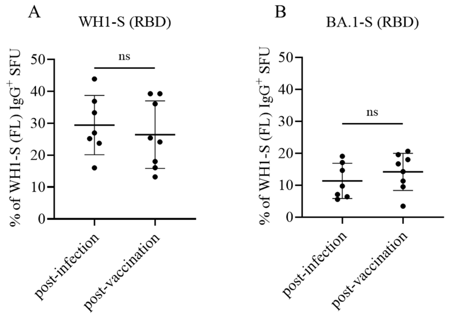 Vaccines 13 00944 g007