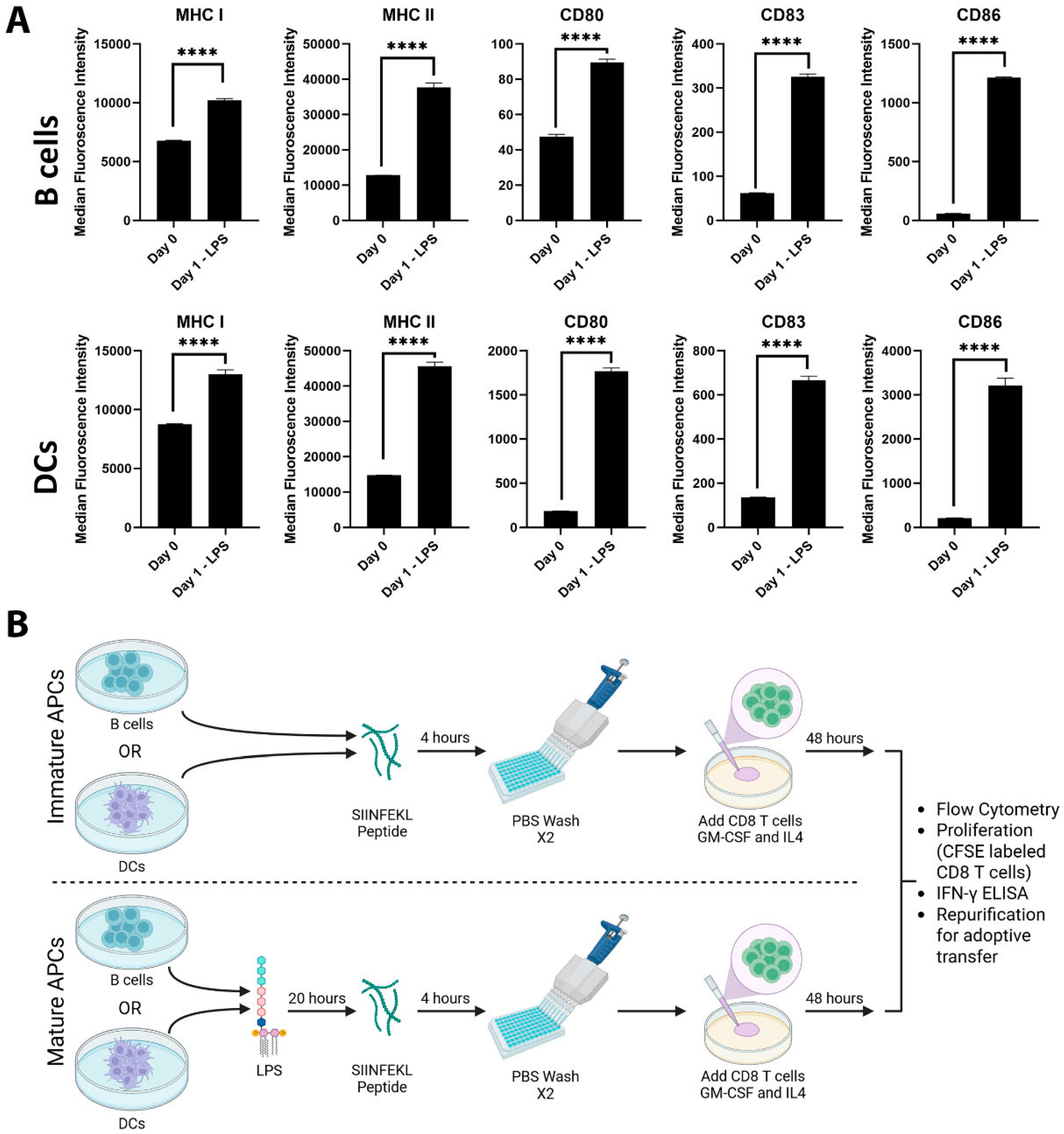Vaccines 13 00953 g001