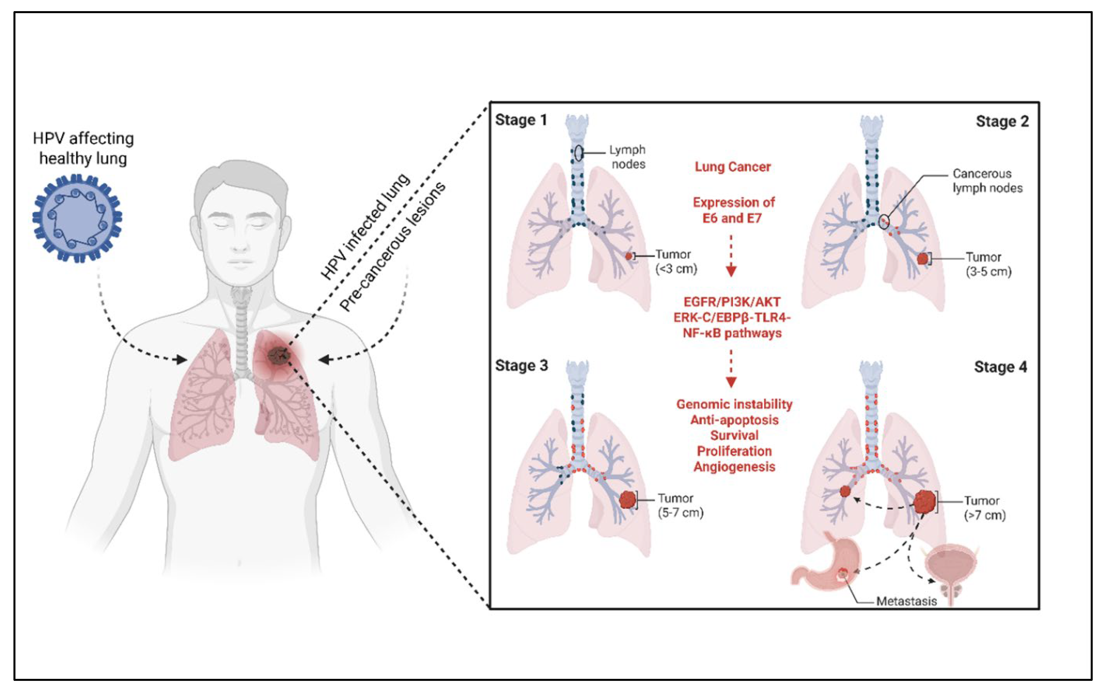 Vaccines 13 00957 g002 Vaccines 13 00957 g002