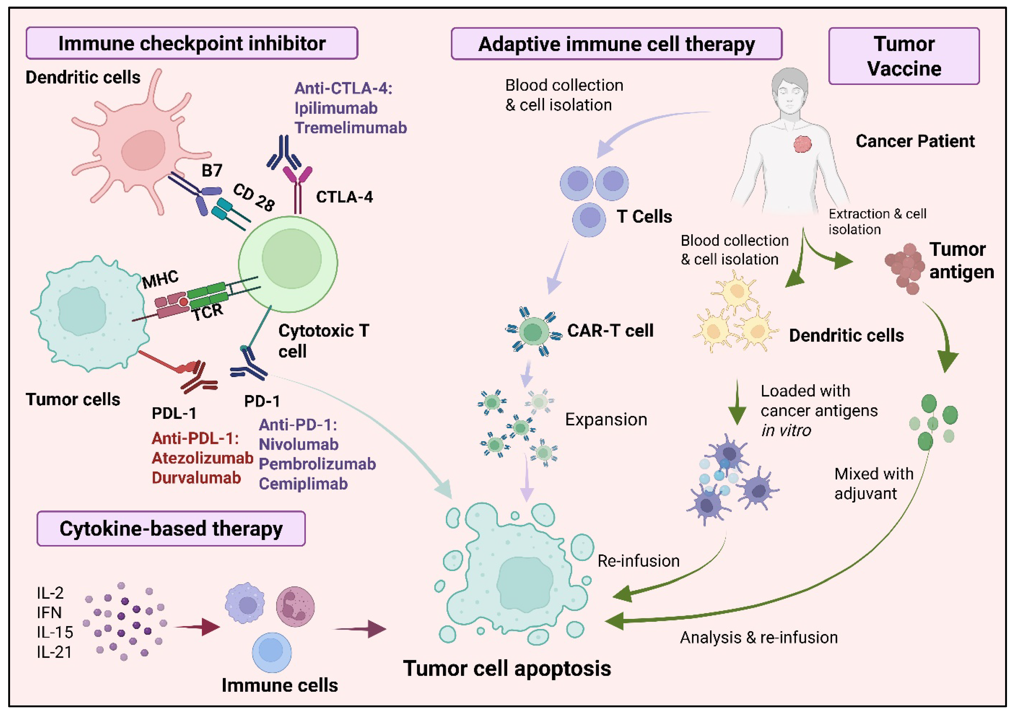 Vaccines 13 00957 g004 Vaccines 13 00957 g004
