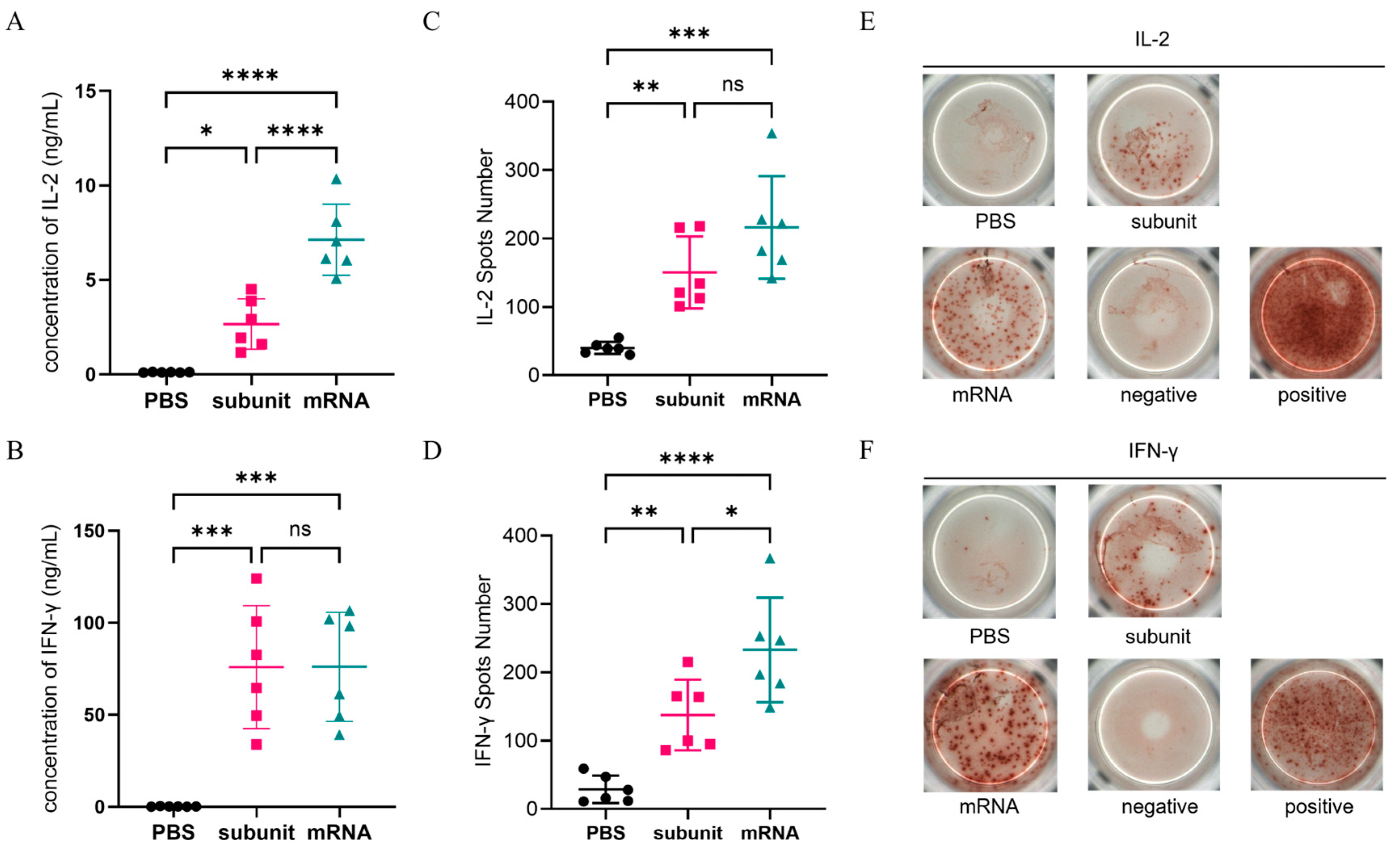 Vaccines 13 00958 g003