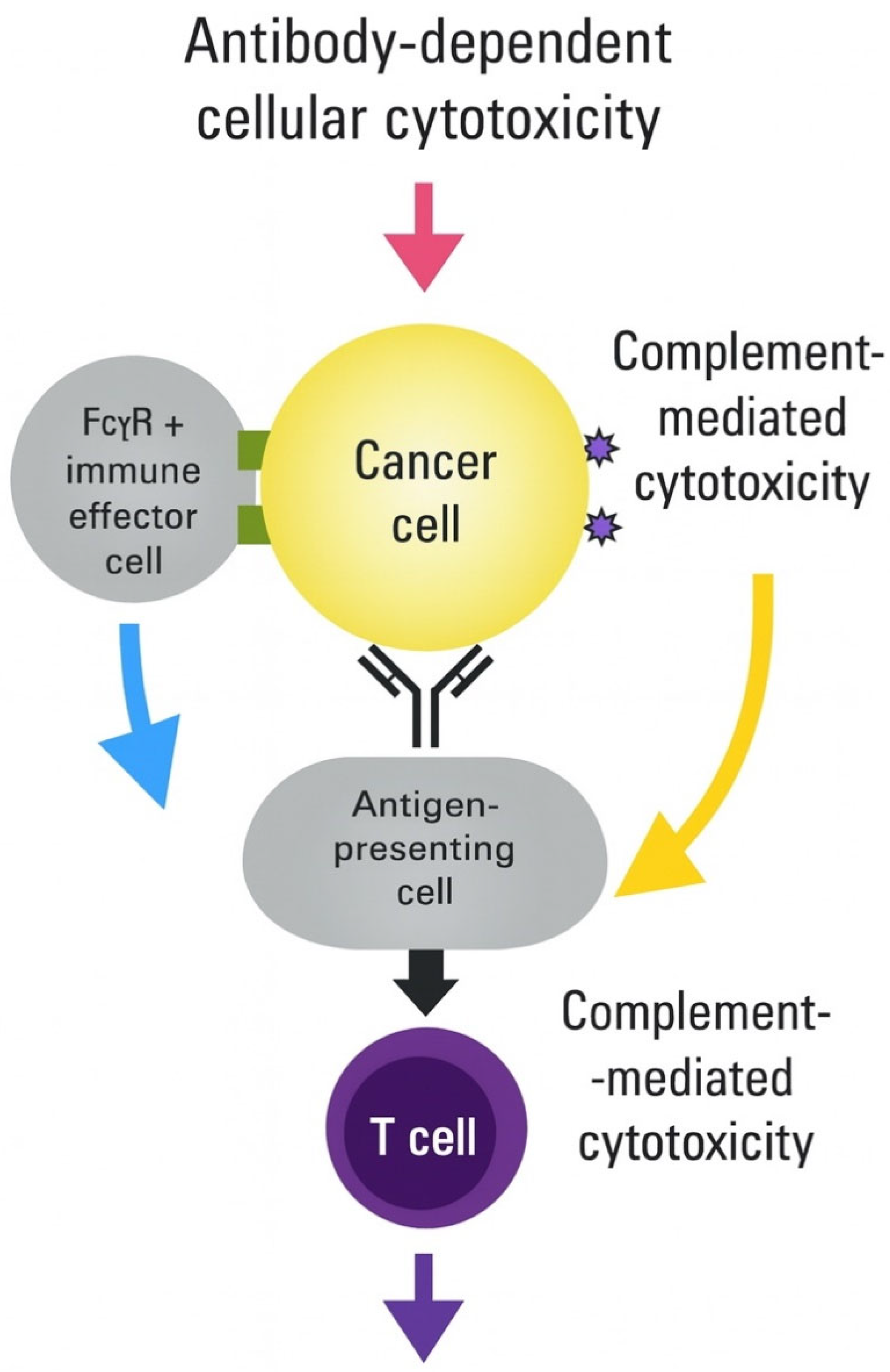 Vaccines 13 00970 g003 Vaccines 13 00970 g003