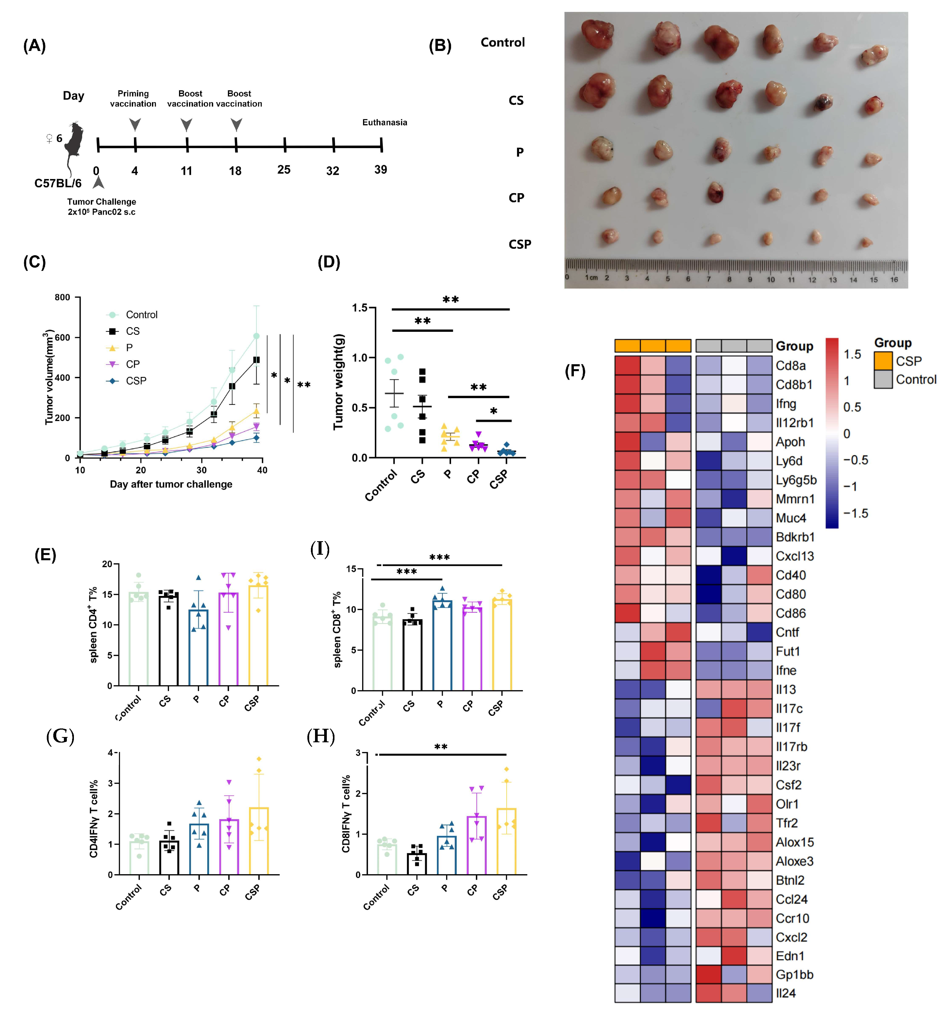 Vaccines 13 00977 g005