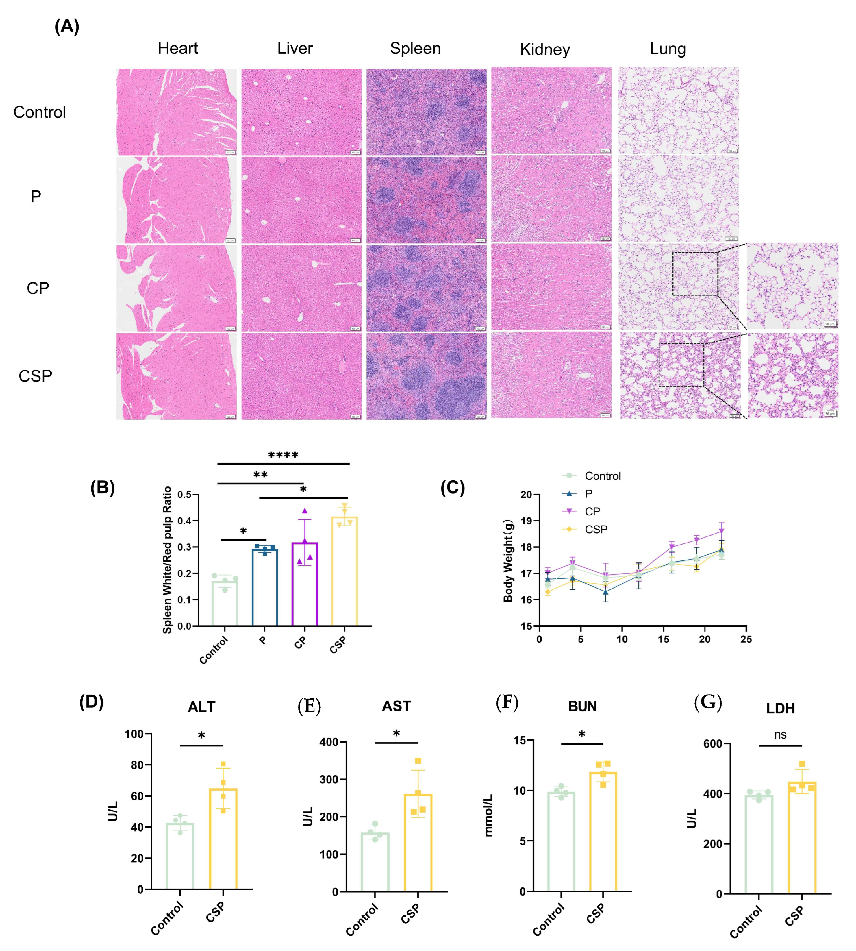 Vaccines 13 00977 g006