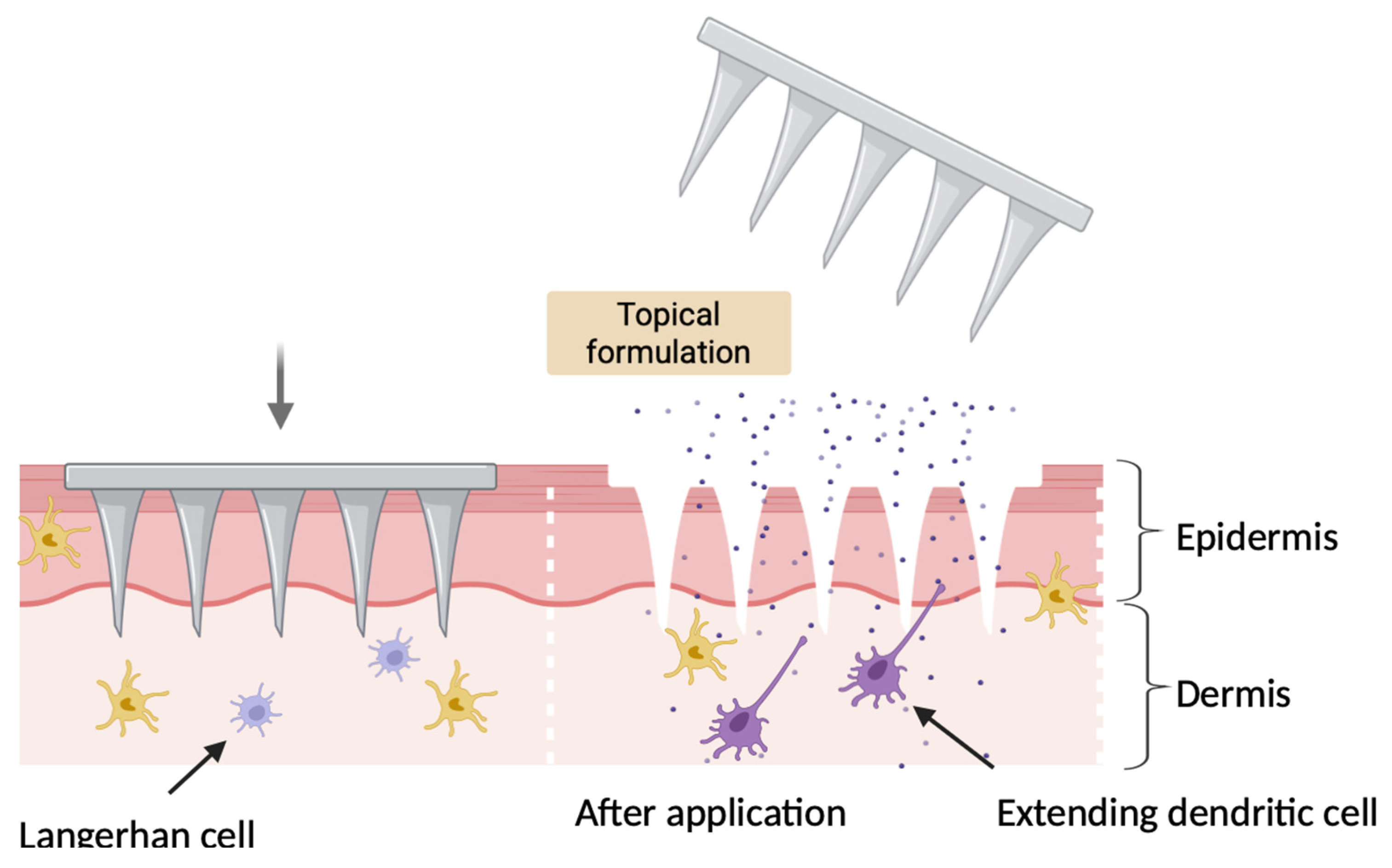 Vaccines 13 00978 g004 Vaccines 13 00978 g004