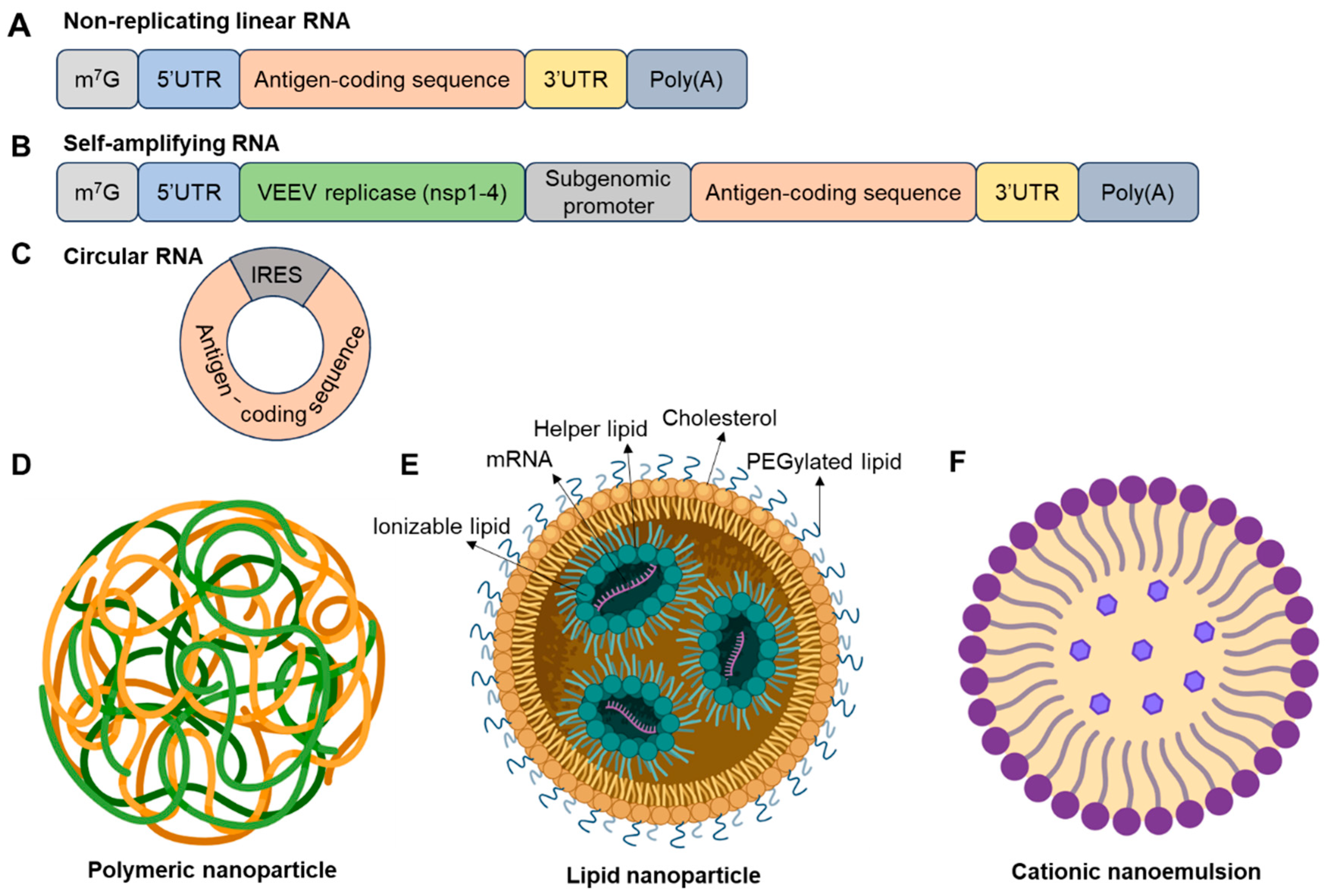 Vaccines 13 00979 g001 Vaccines 13 00979 g001