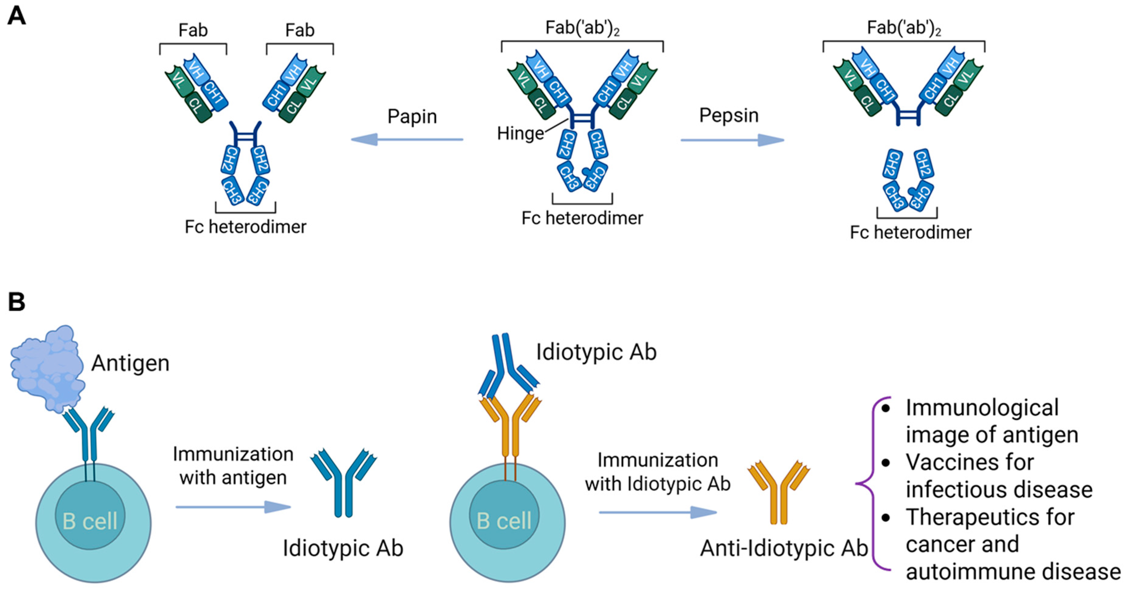 Vaccines 13 00979 g003 Vaccines 13 00979 g003