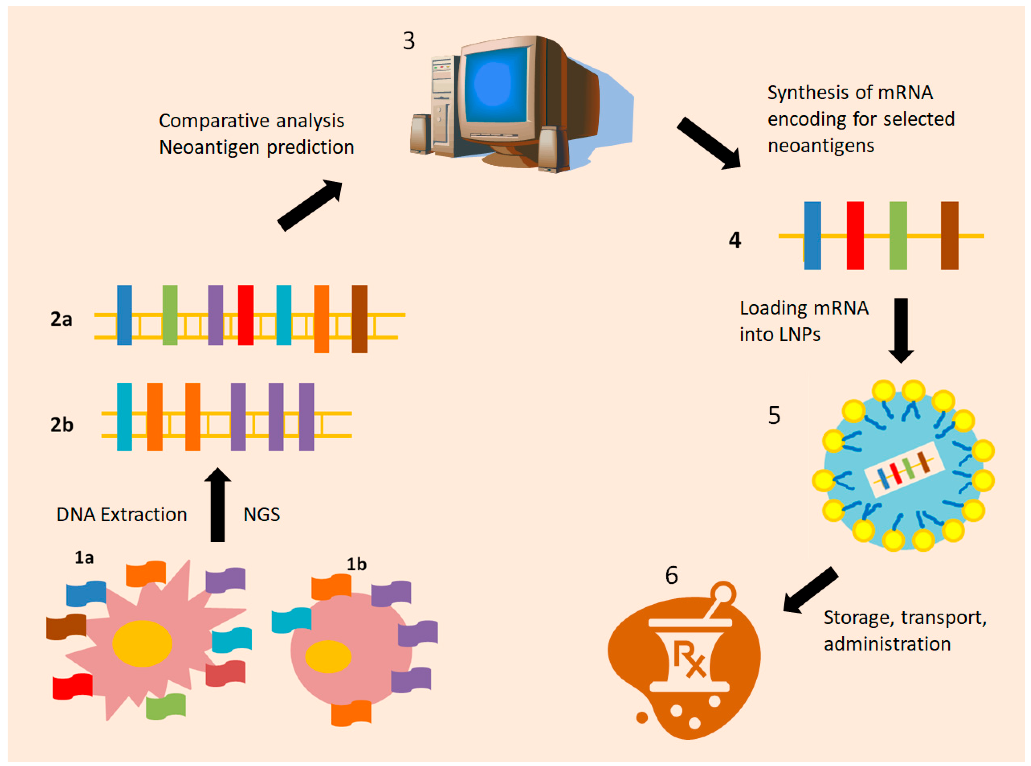 Vaccines 13 00986 g001