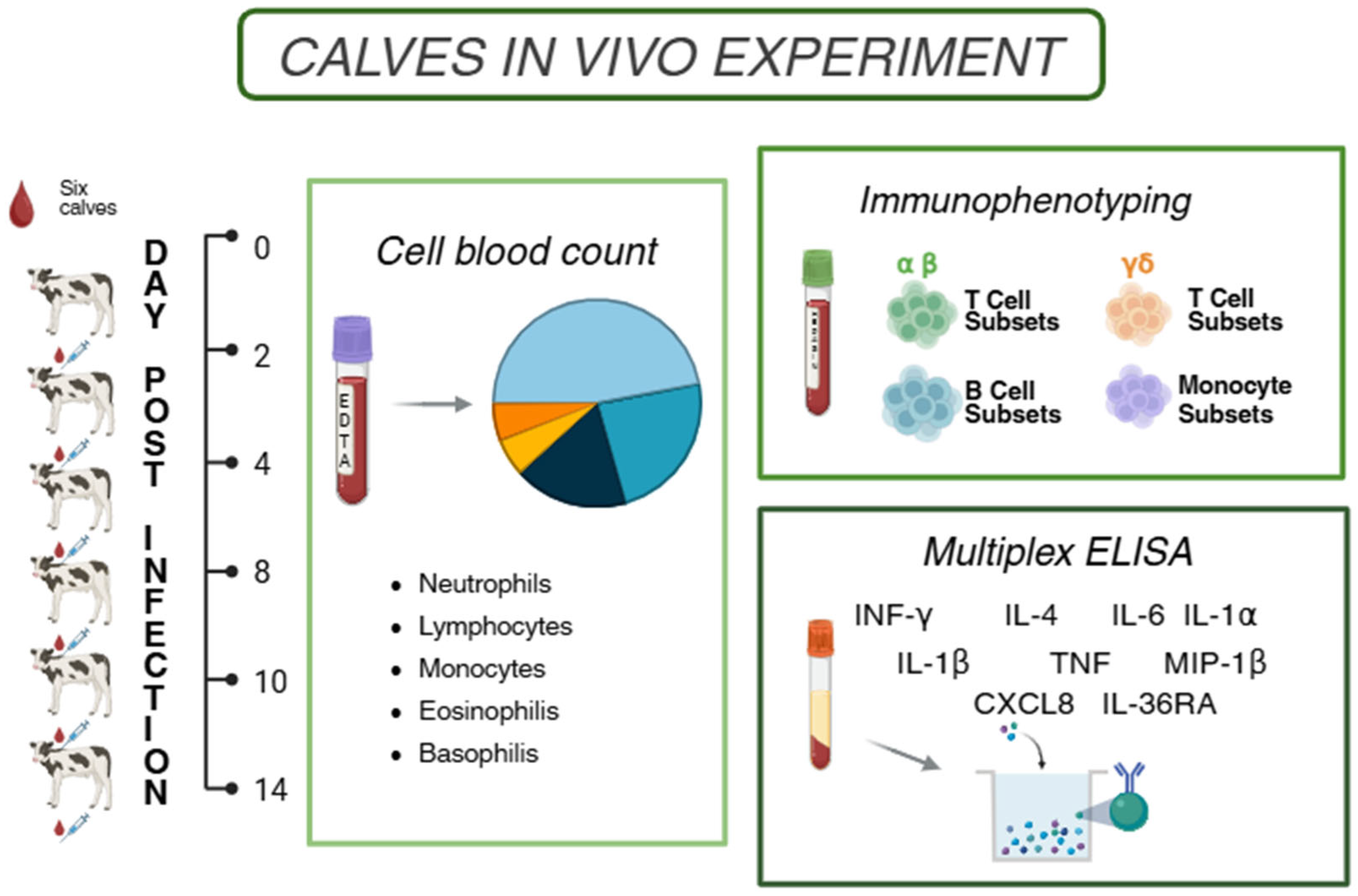Vaccines 13 00996 g001