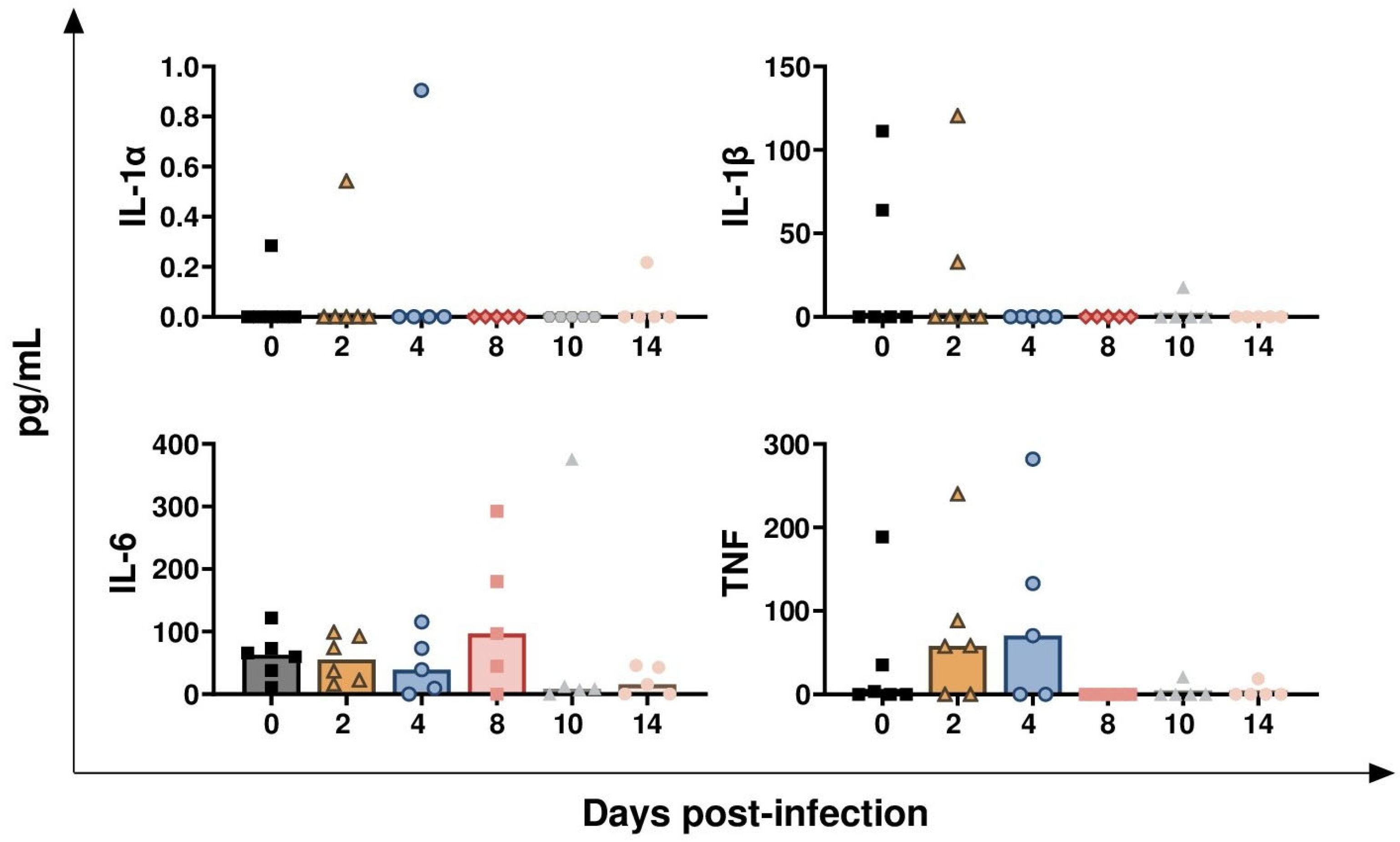 Vaccines 13 00996 g010