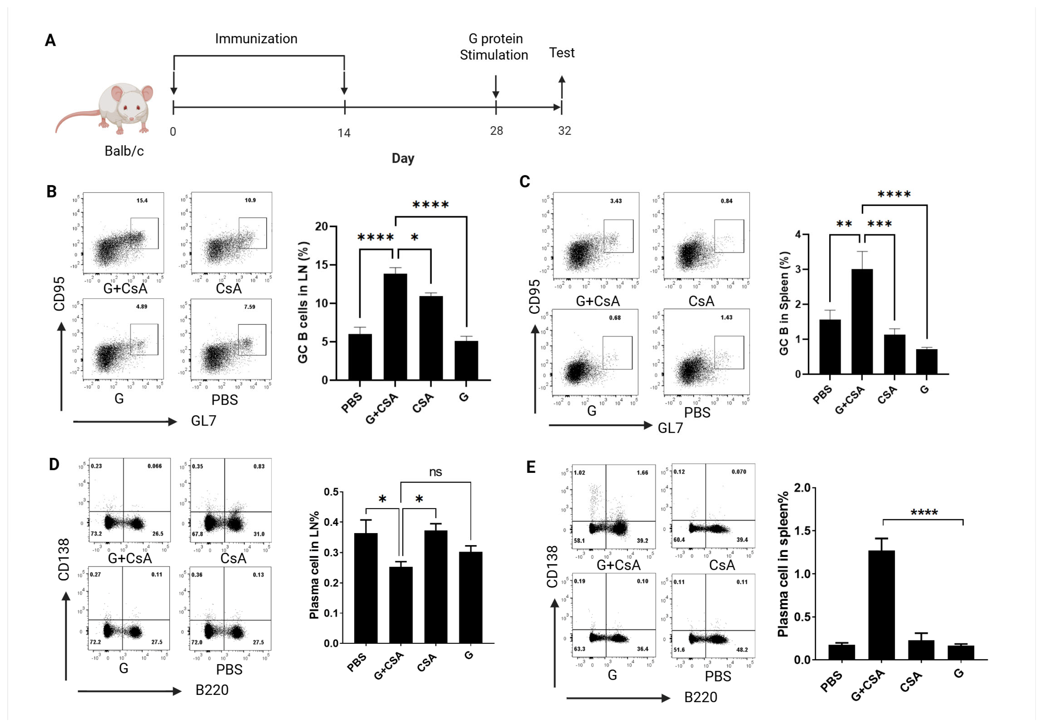 Vaccines 13 00997 g002