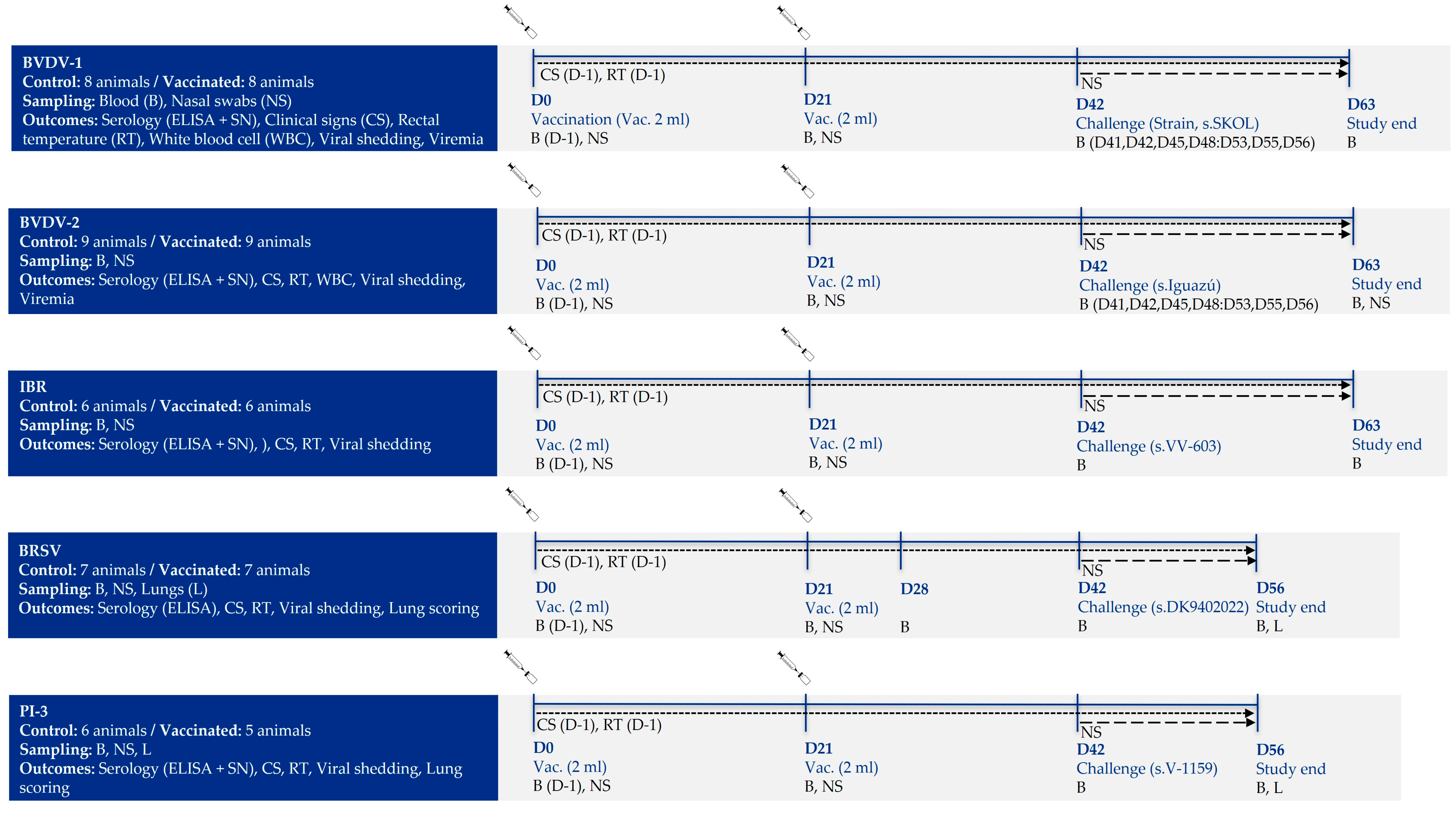 Vaccines 13 00999 g001