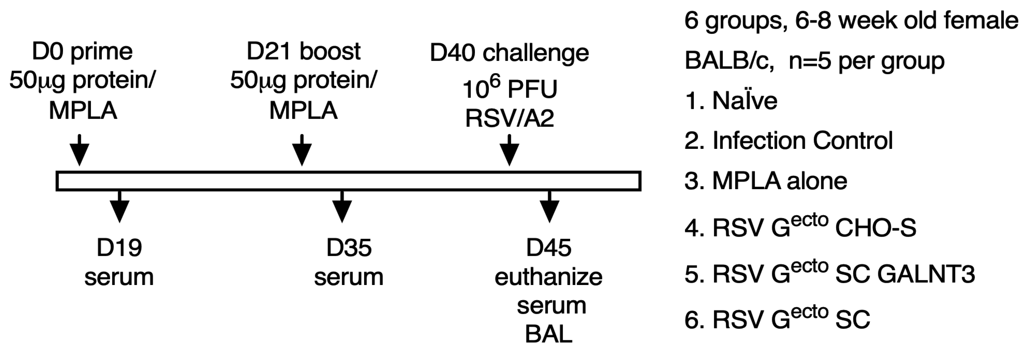 Vaccines 13 01004 g002 Vaccines 13 01004 g002