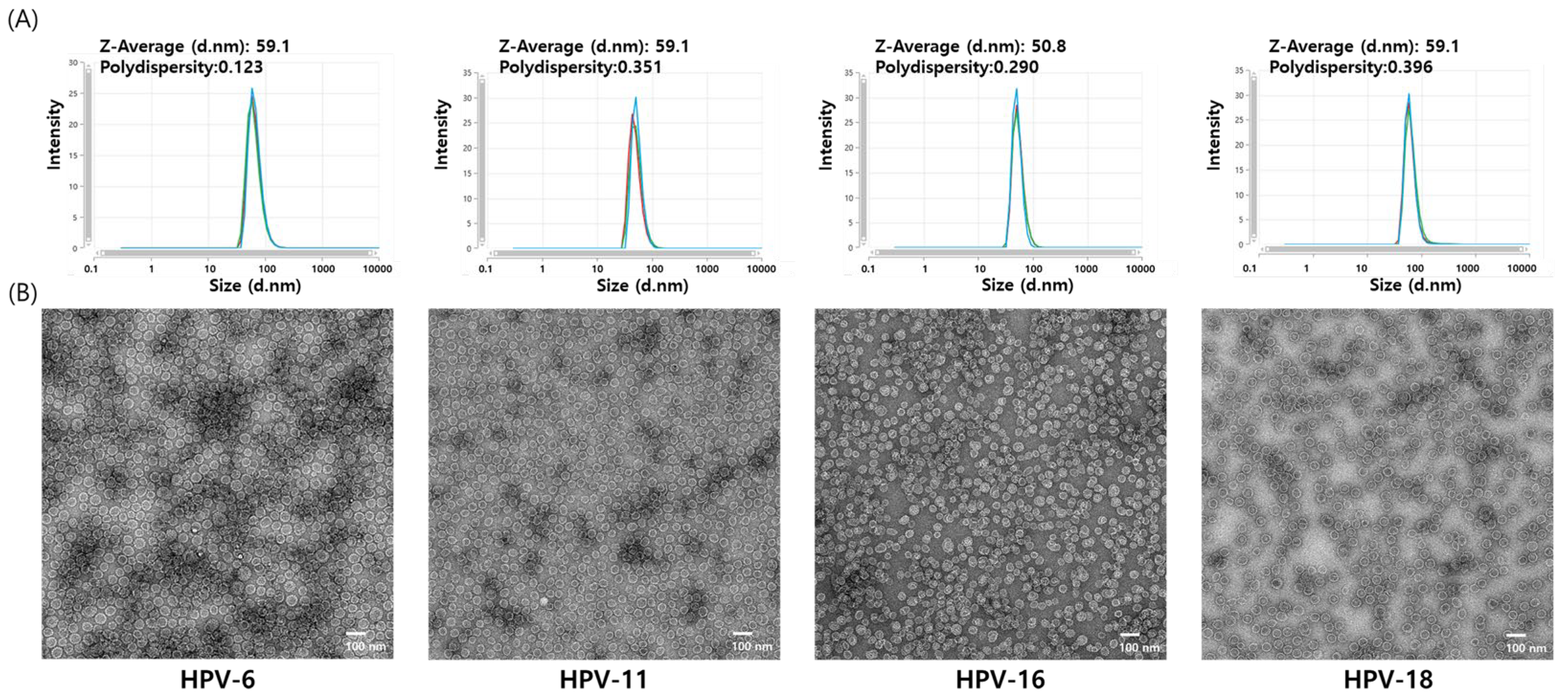 Vaccines 13 01006 g005 Vaccines 13 01006 g005