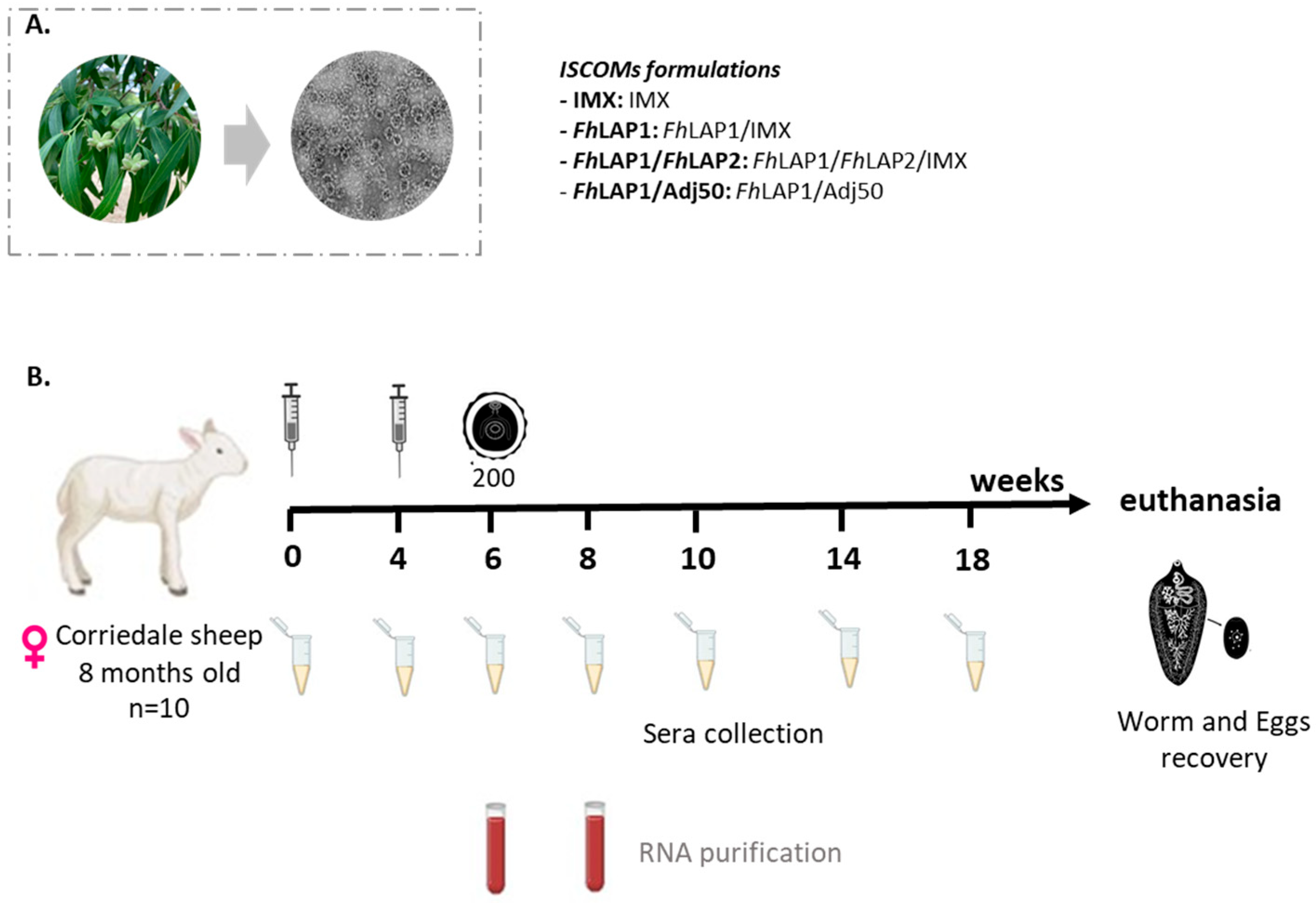 Vaccines 13 01008 g001 Vaccines 13 01008 g001