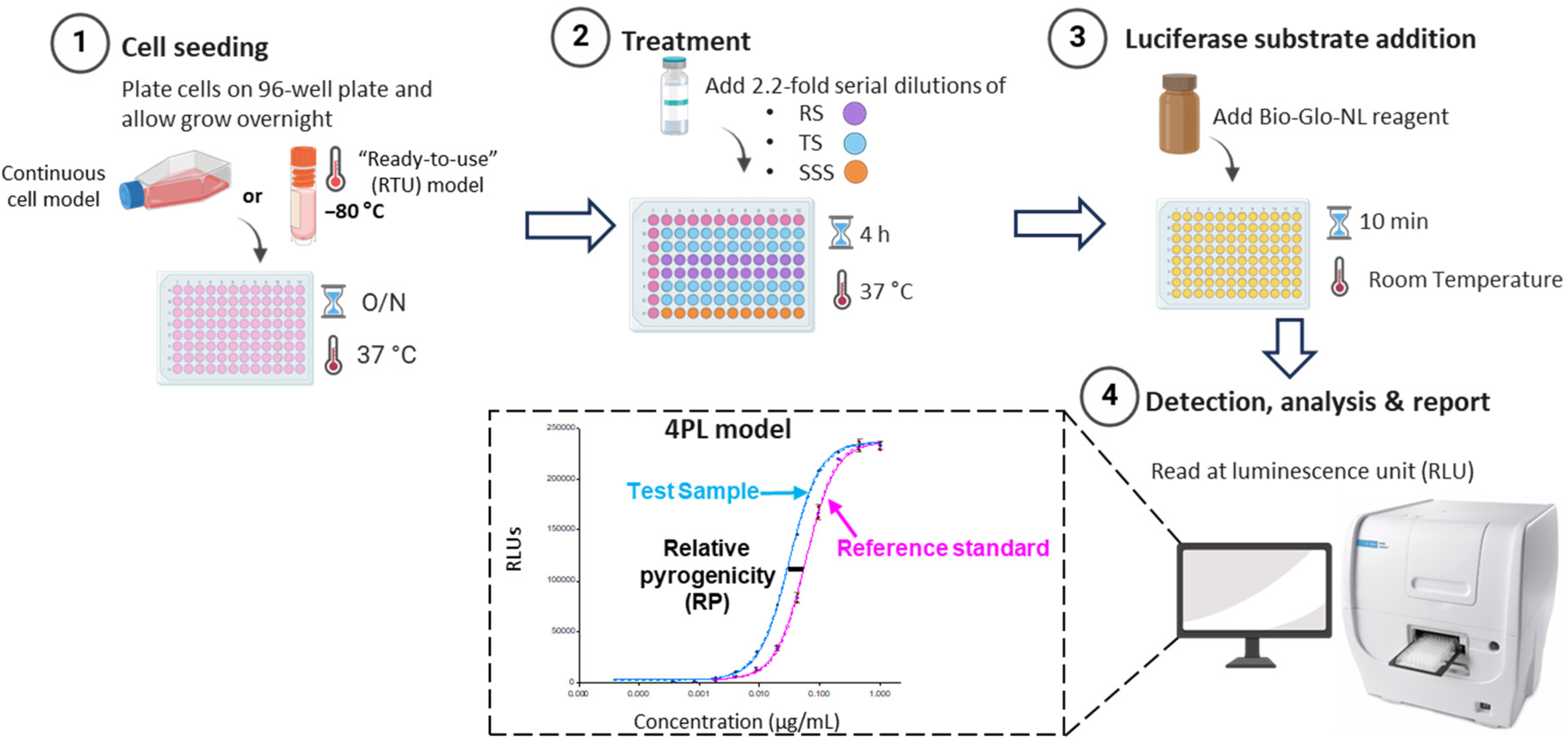 Vaccines 13 01009 g004