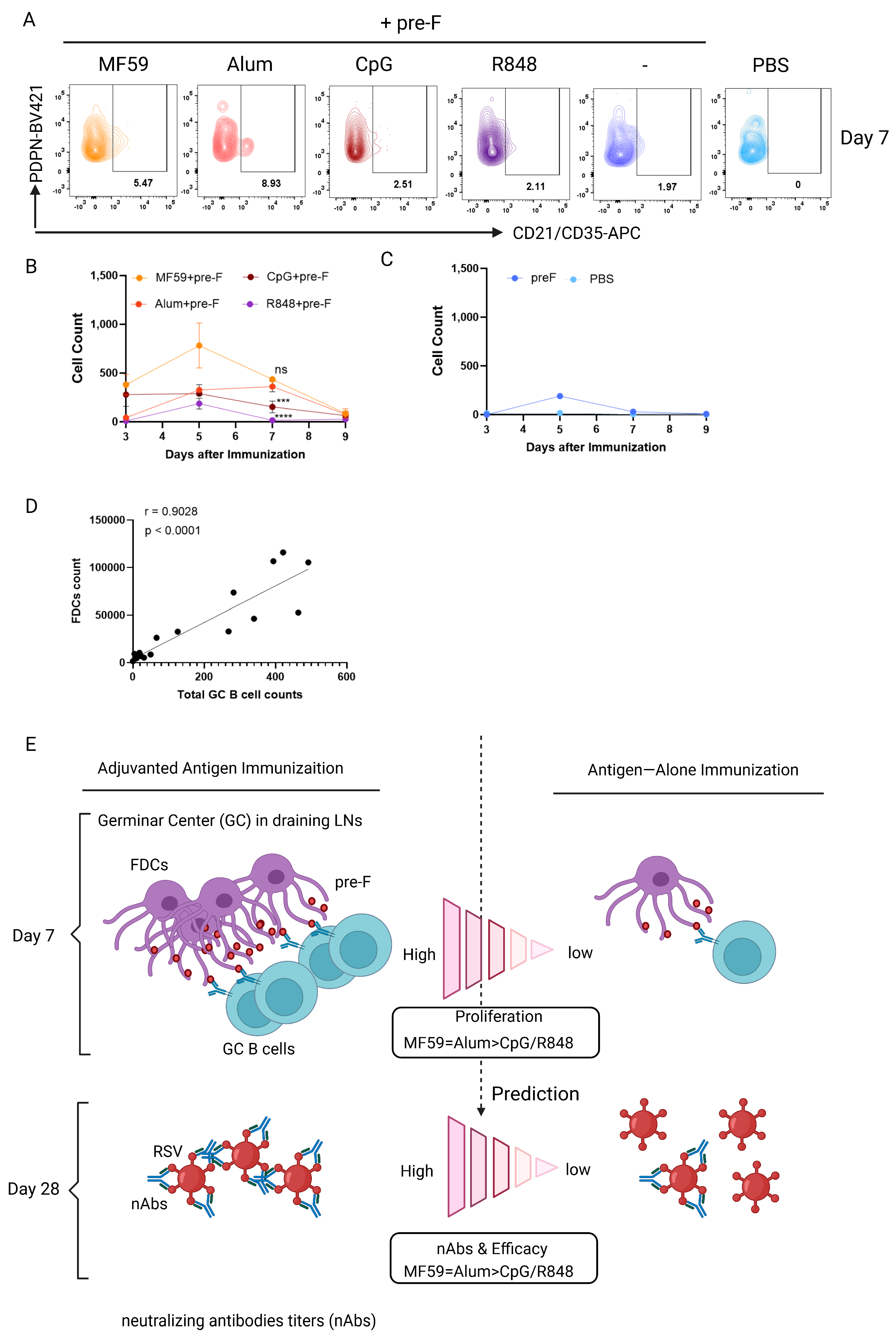 Vaccines 13 01011 g005