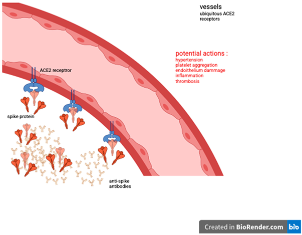Vaccines 13 01028 i001 Vaccines 13 01028 i001