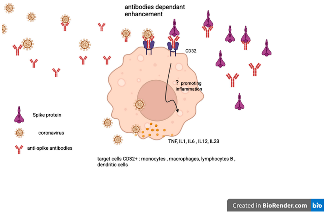 Vaccines 13 01028 i003 Vaccines 13 01028 i003