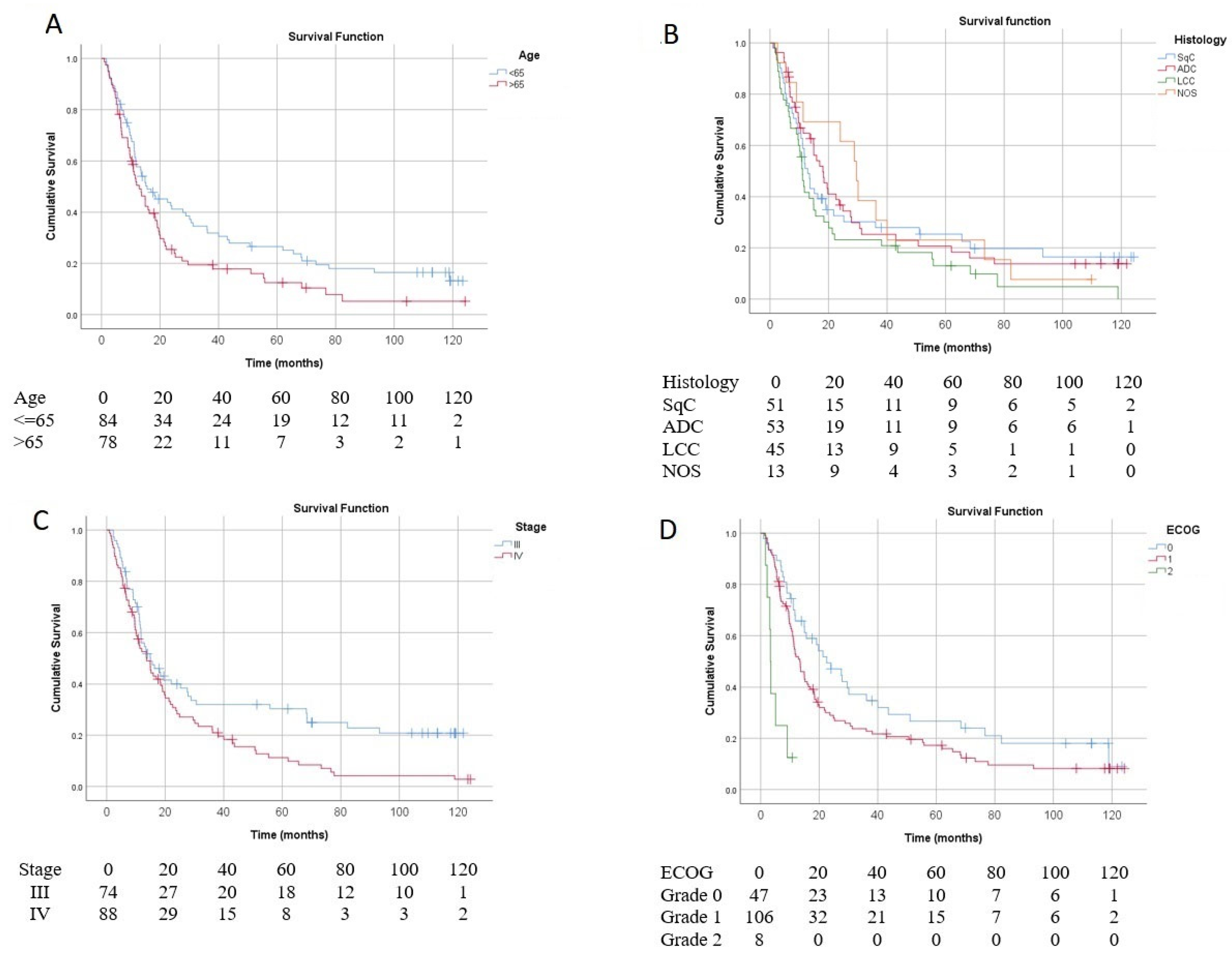 Vaccines 13 01035 g002 Vaccines 13 01035 g002